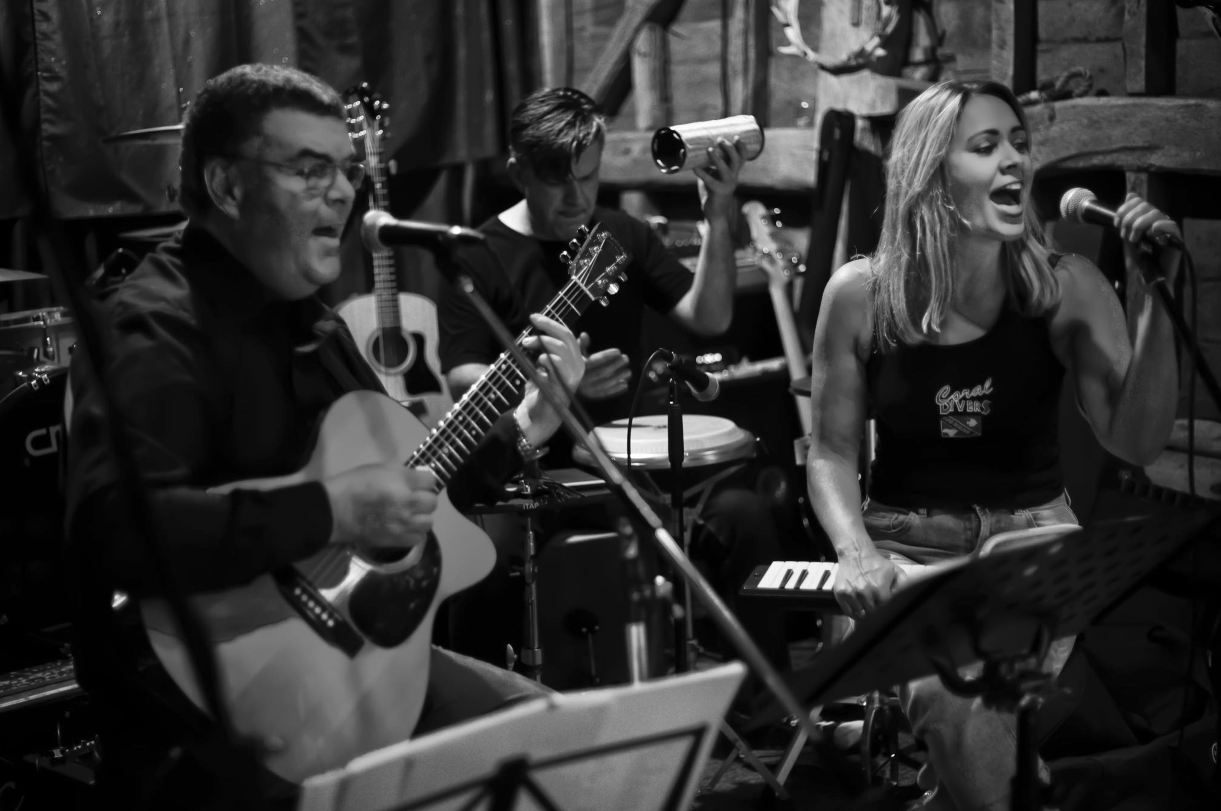 SUNFLOWER ACOUSTIC