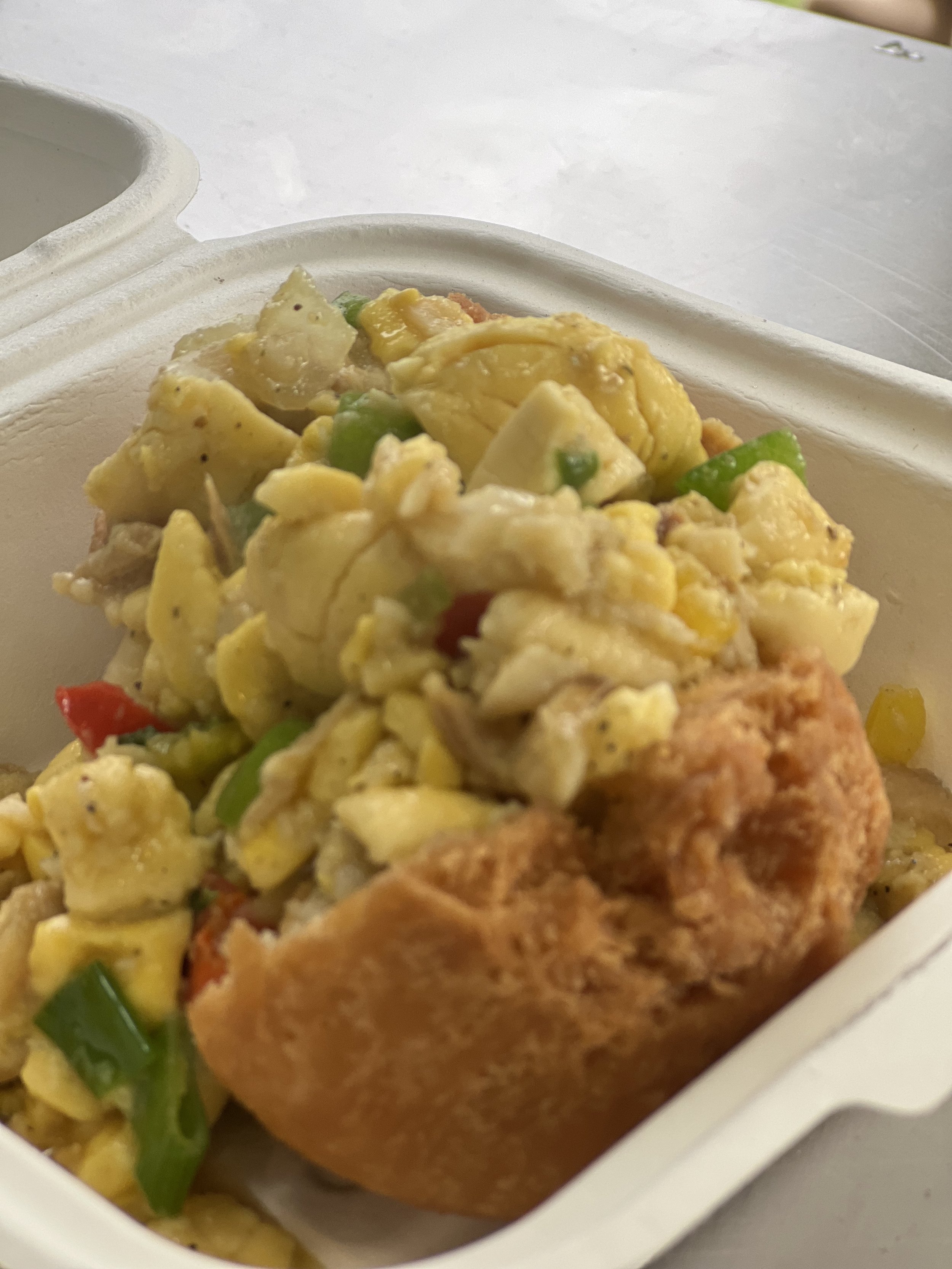 IMG_6997 - Caron Schersmith-Meikle.jpeg