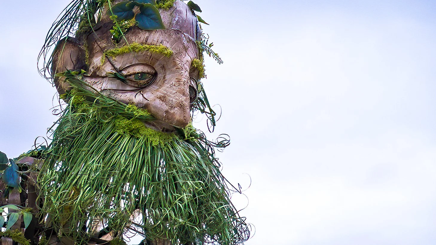 WOTD Photo Credit Mike B Designs.jpg