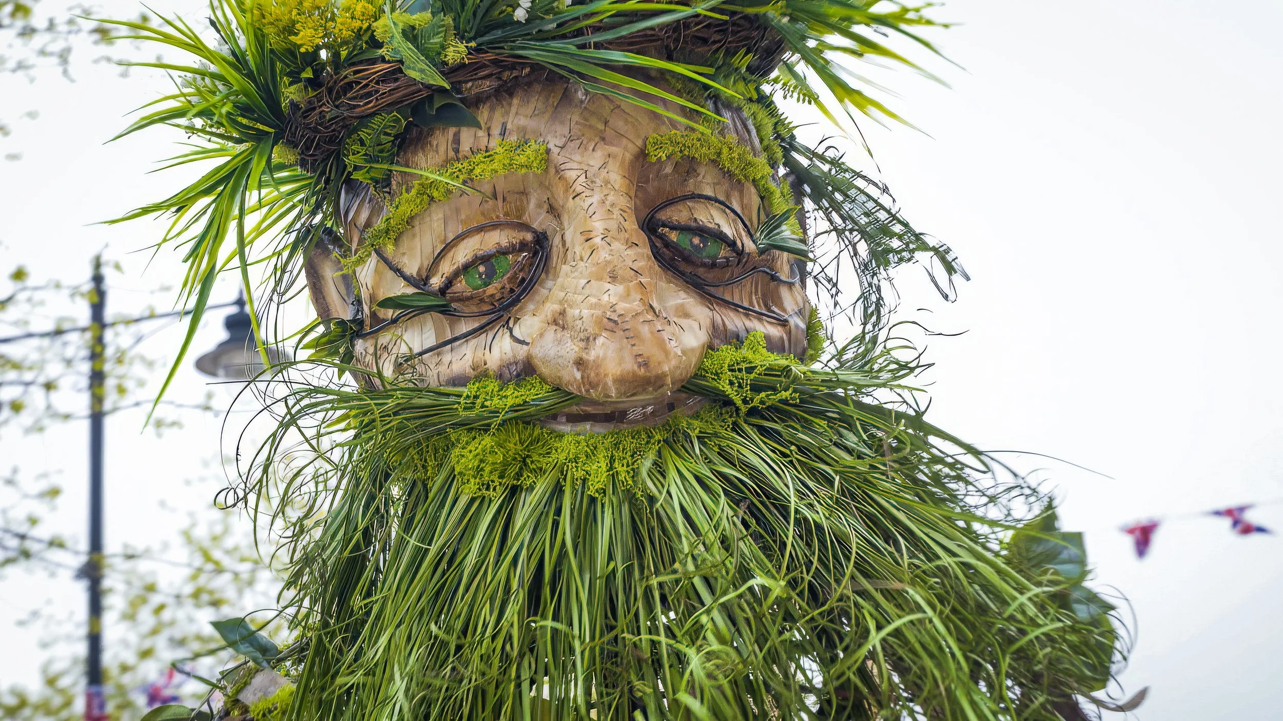 WOTD Photo Credit Tom Byrne.jpg