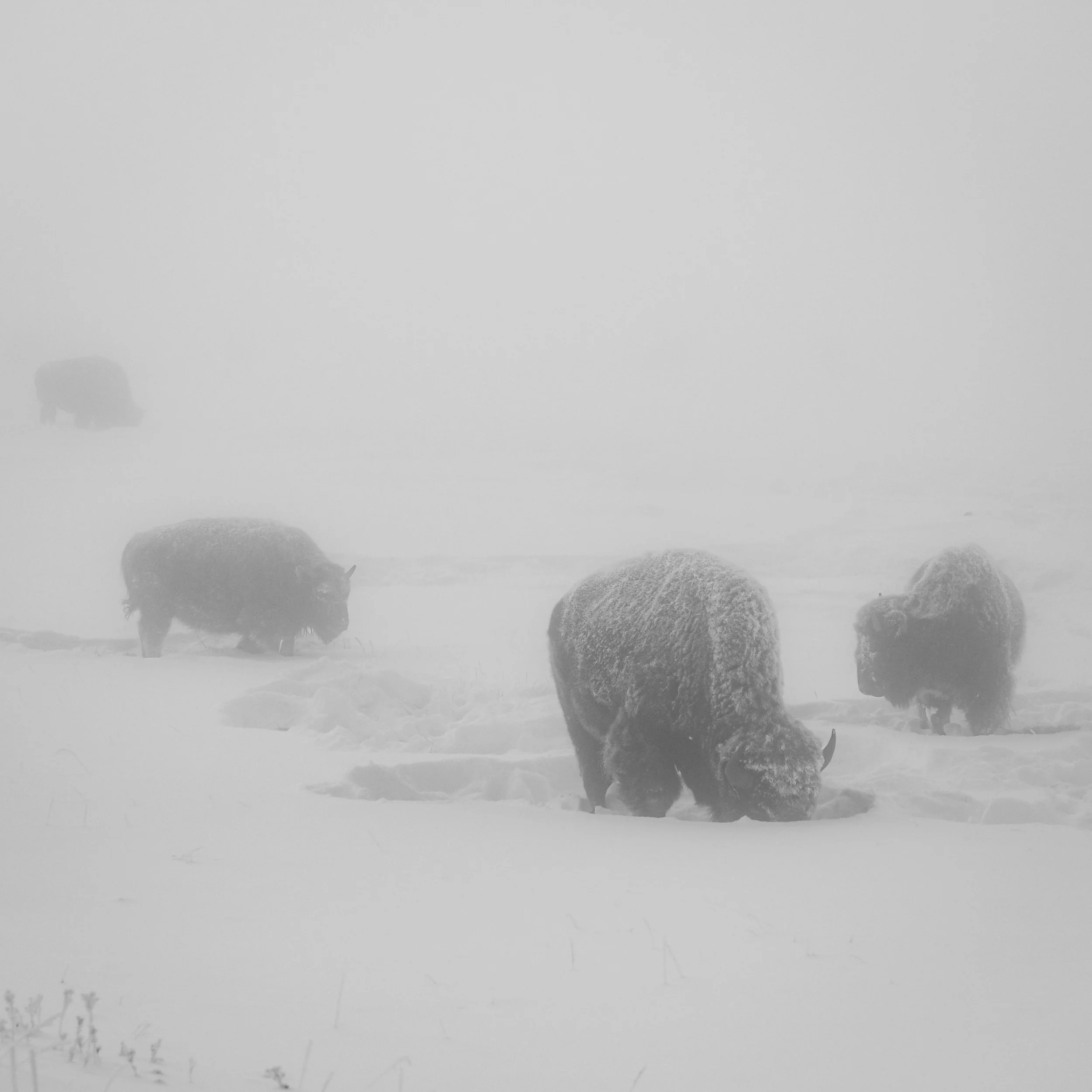 DSCF2719.jpg