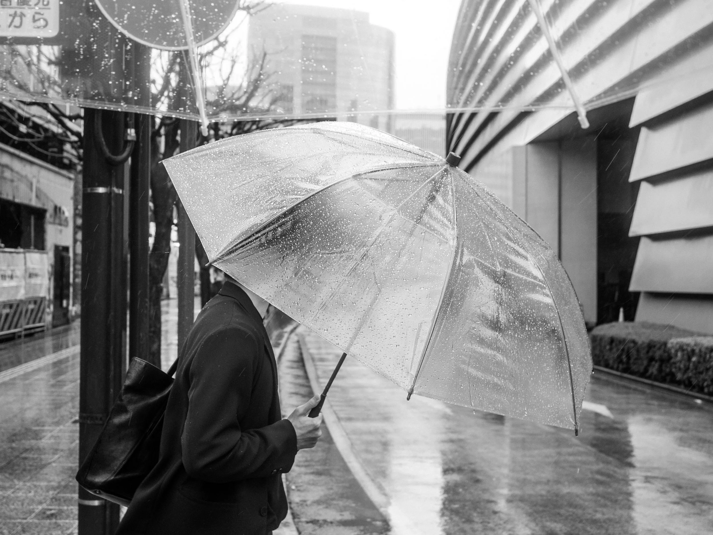 DSC_0010.jpeg