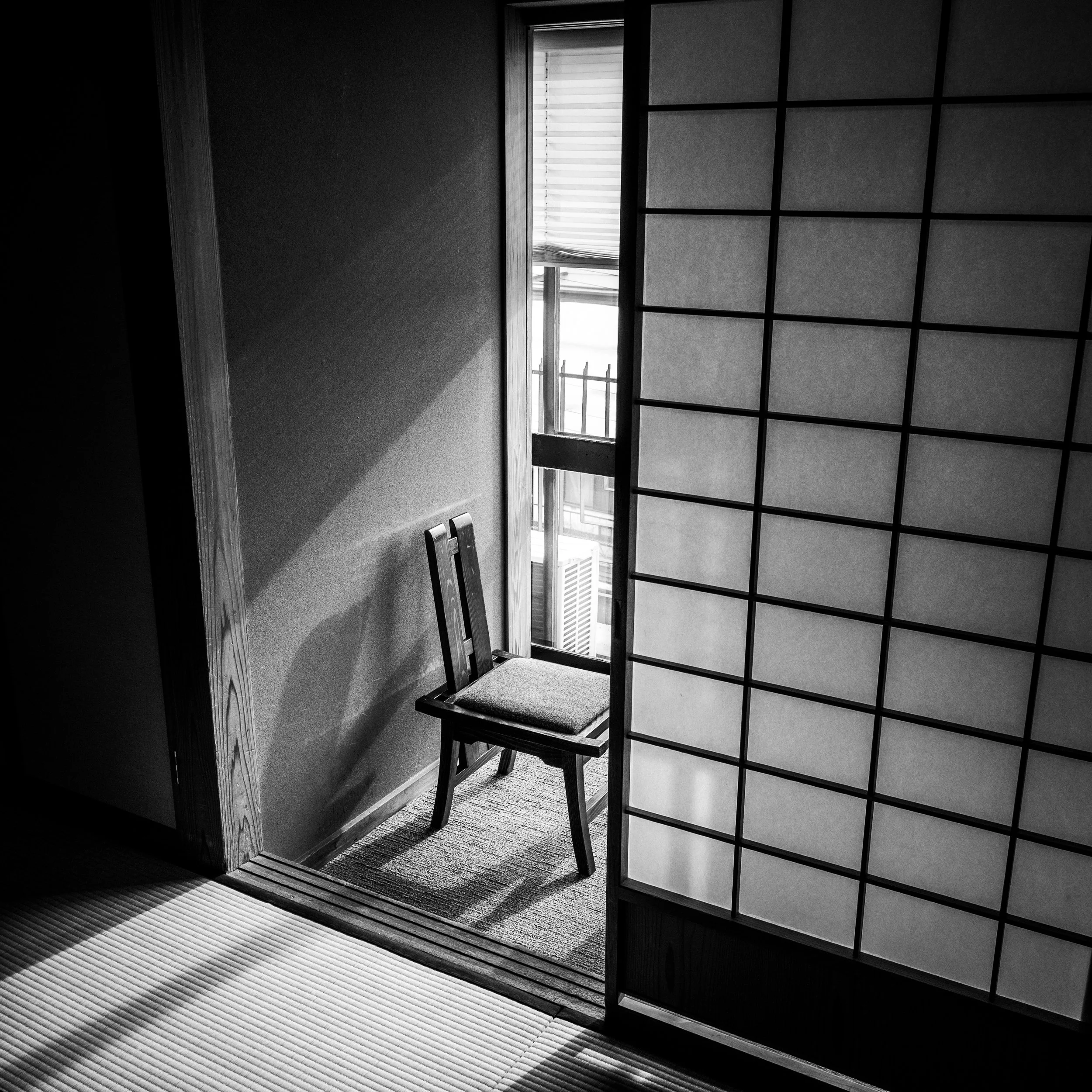 DSC_8169.jpeg