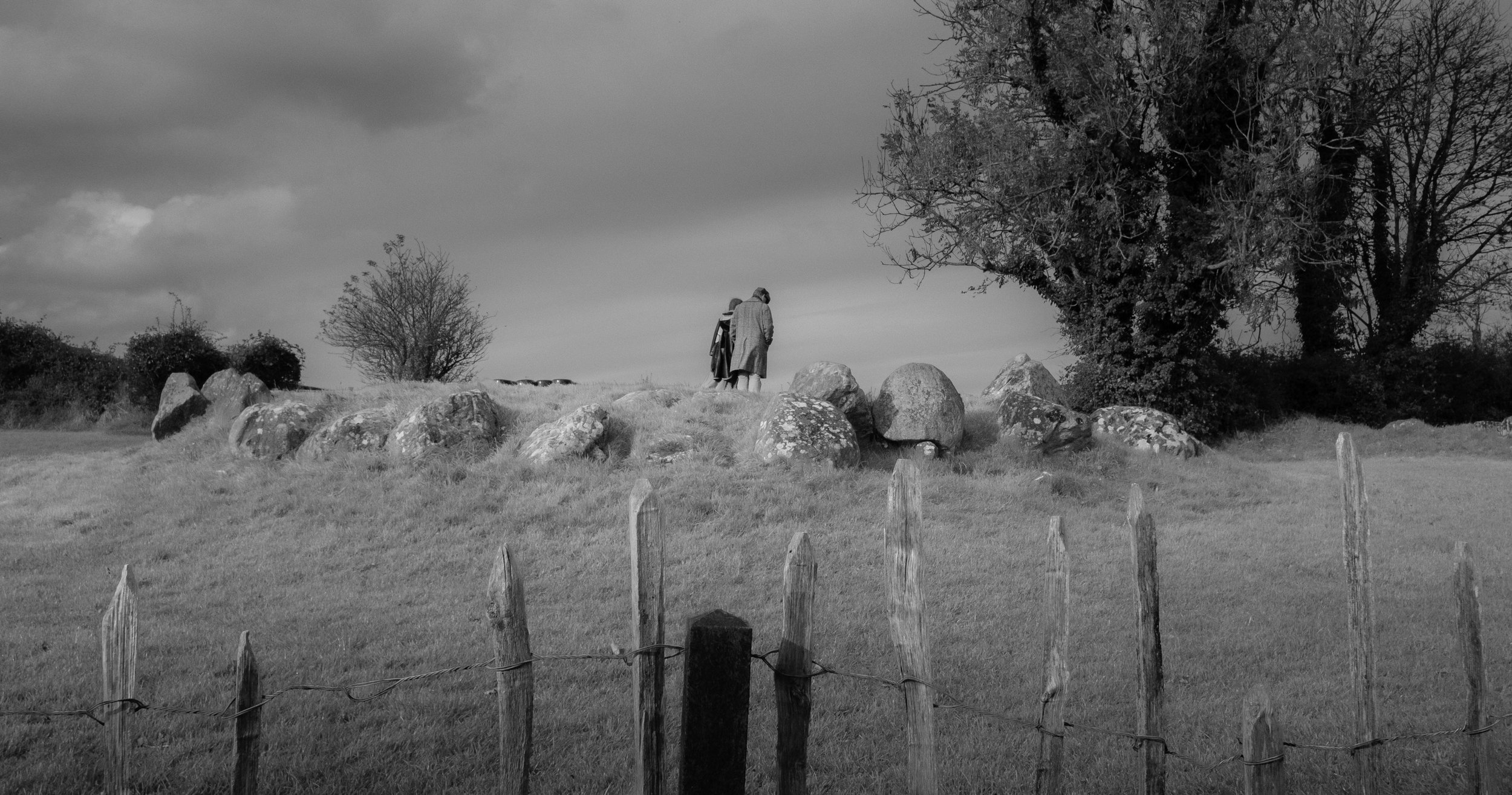 DSCF8171.jpg