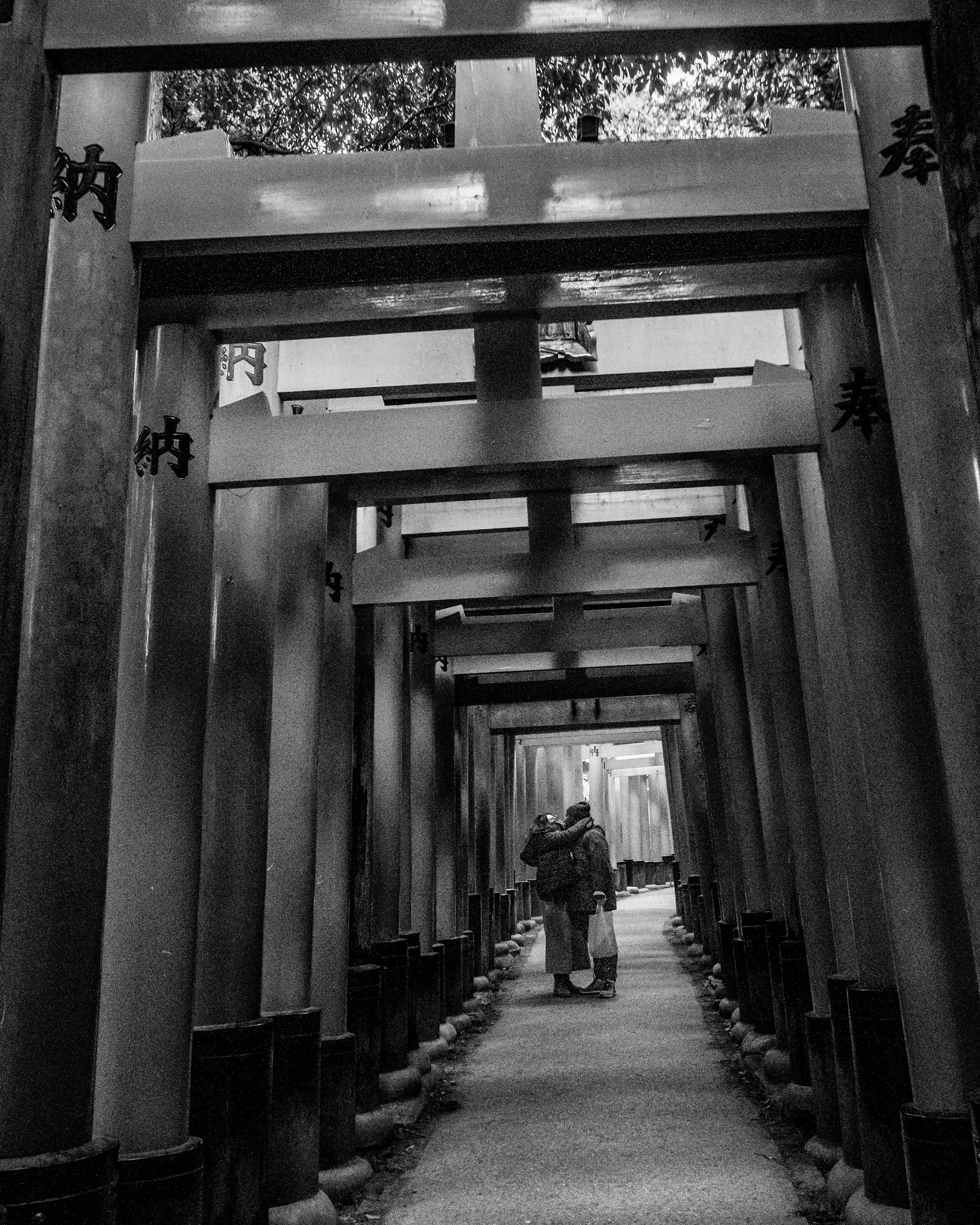DSC_8788.jpeg