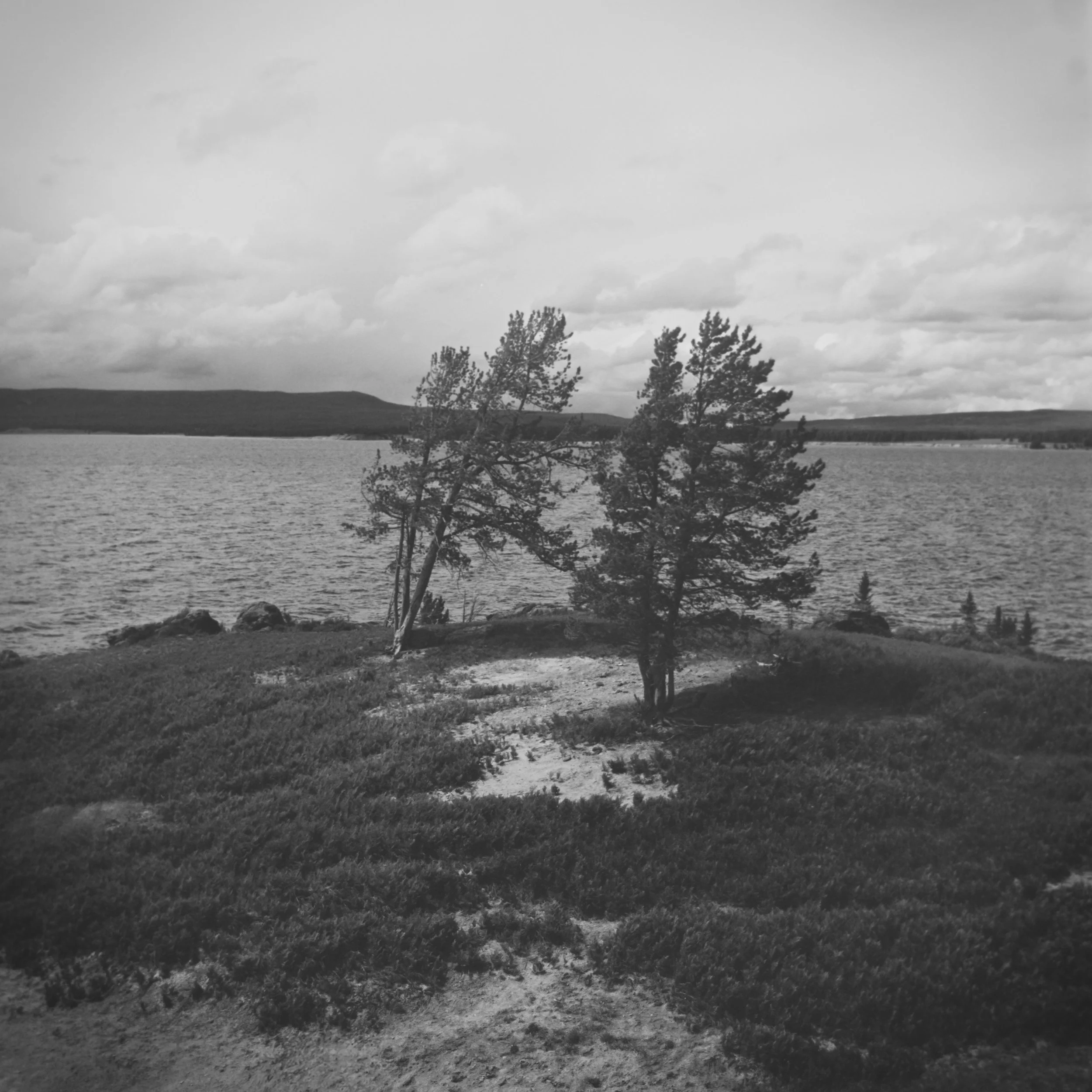 DSC_4986.jpg