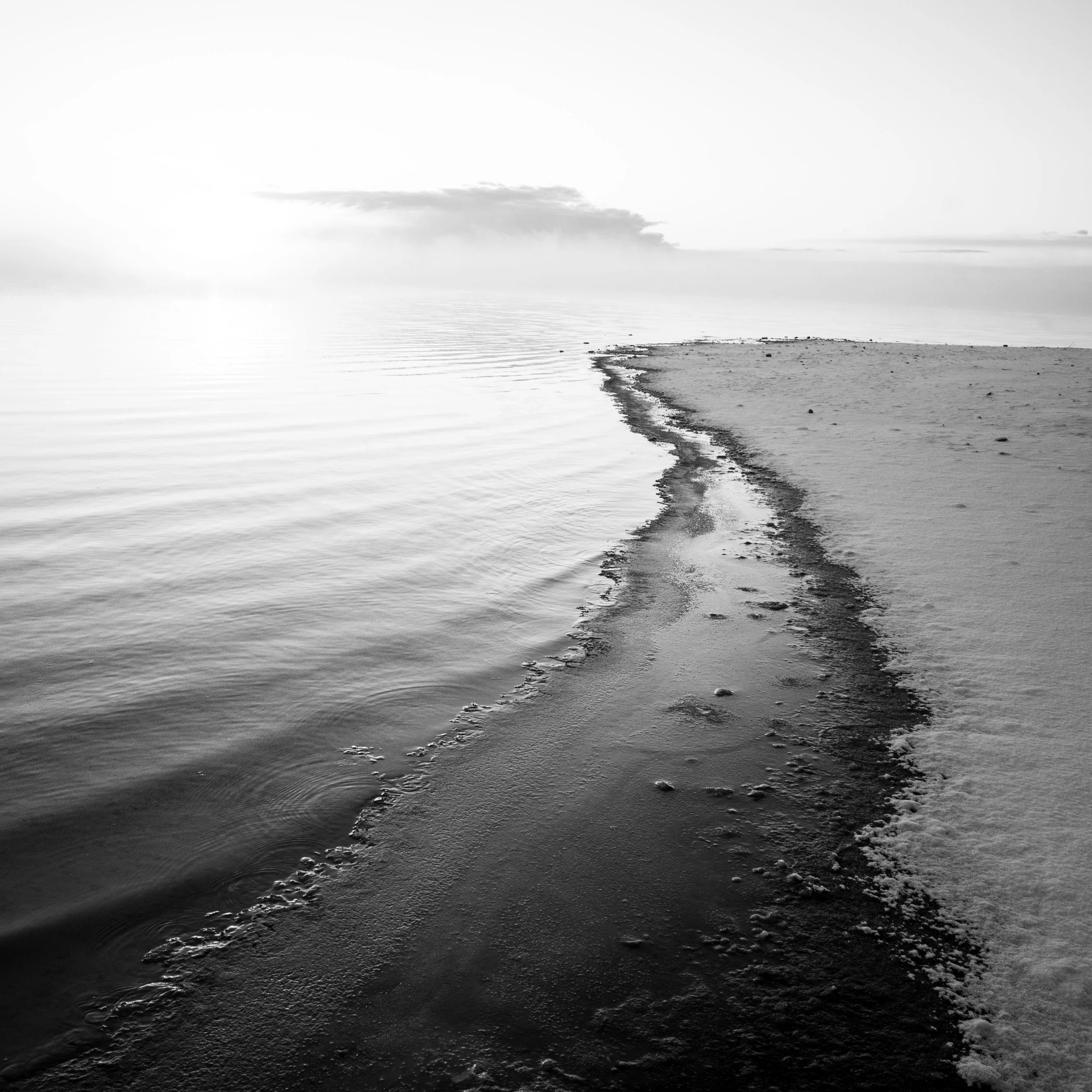 DSC_7600.jpg