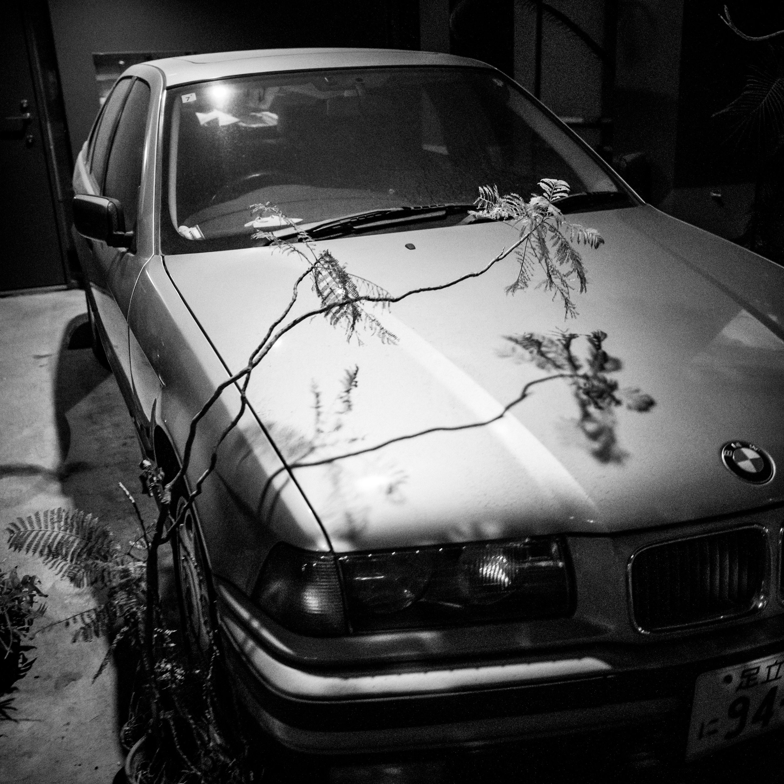 DSC_9441.jpeg
