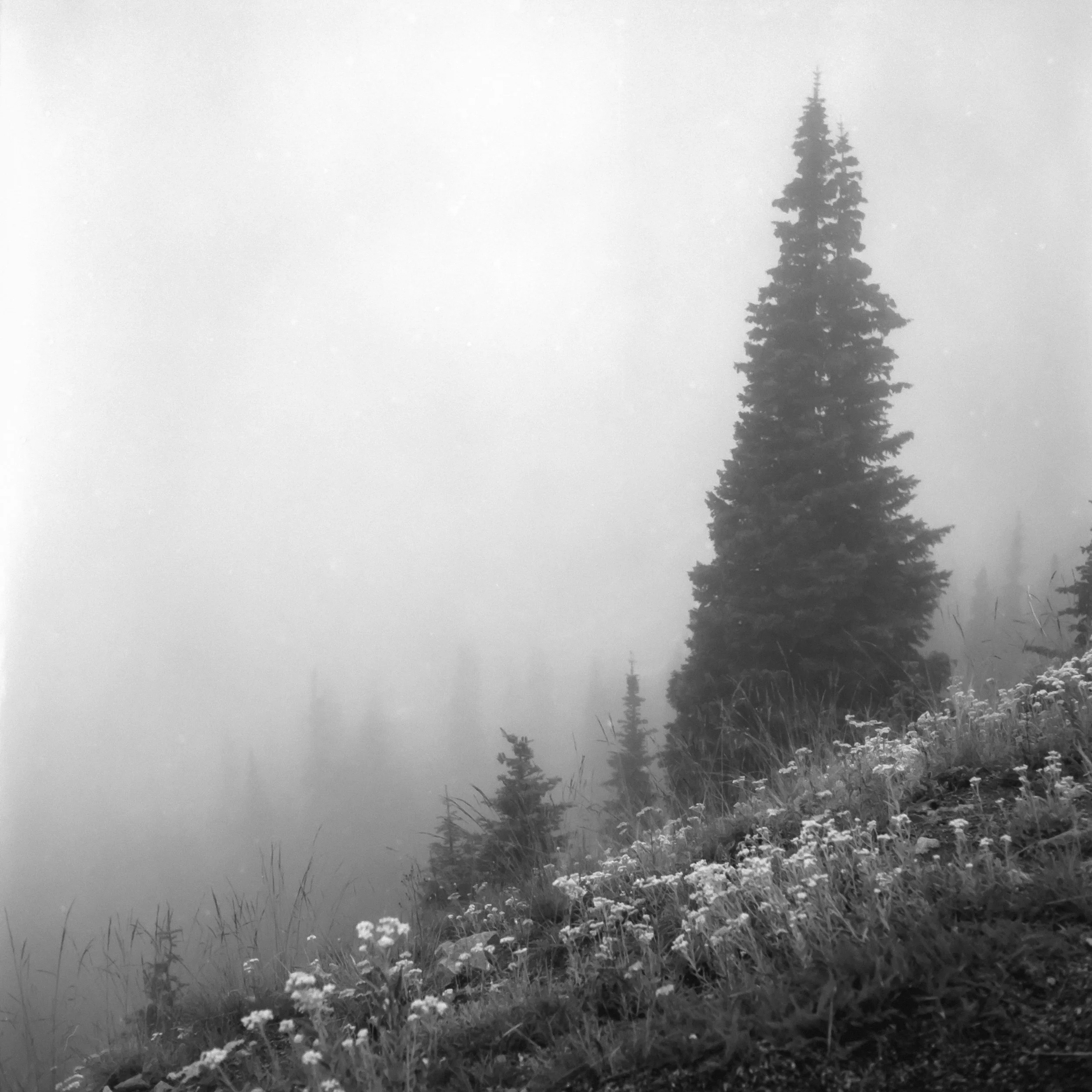 DSC_6154.jpg