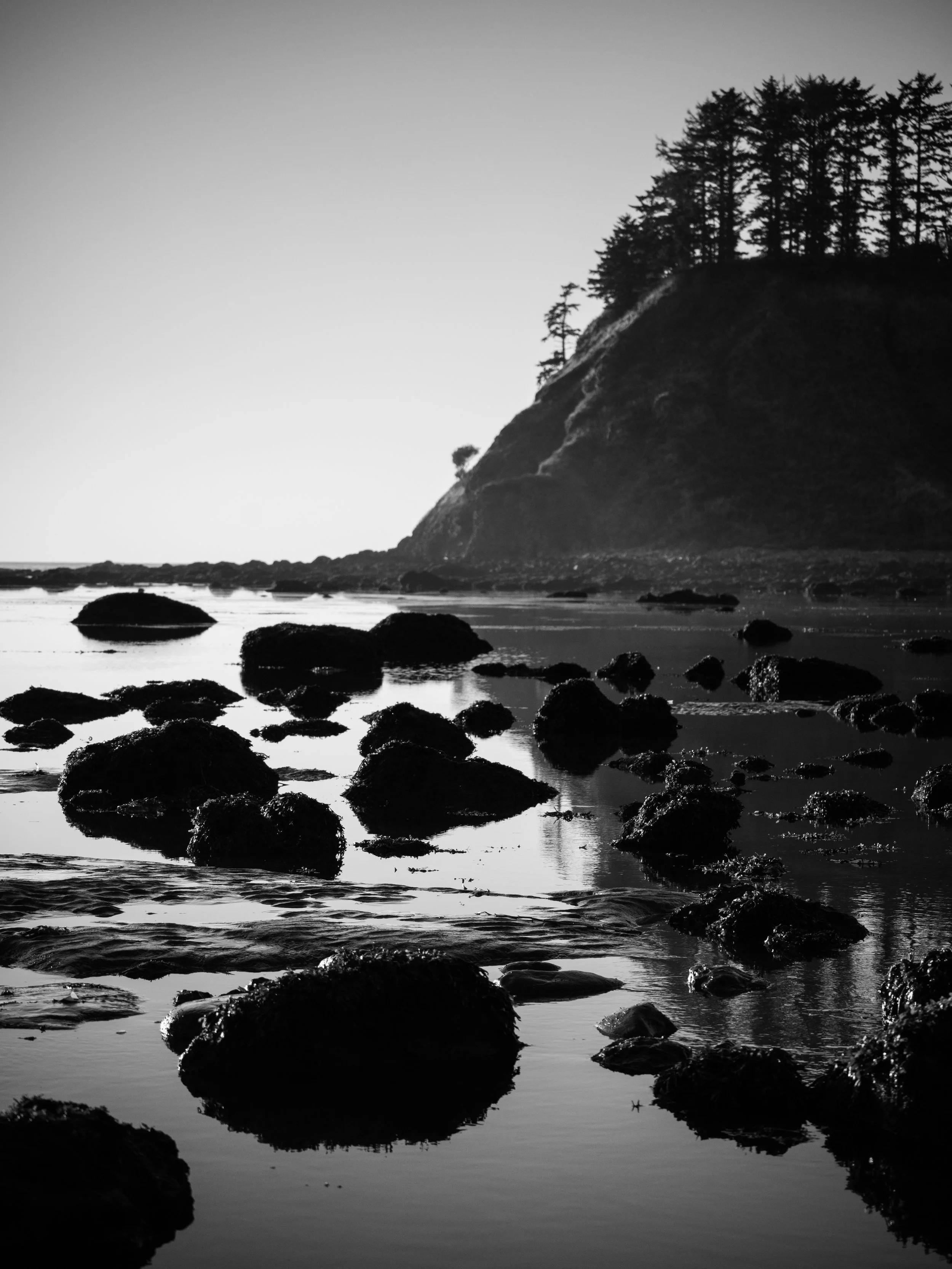 DSC_5805.jpg