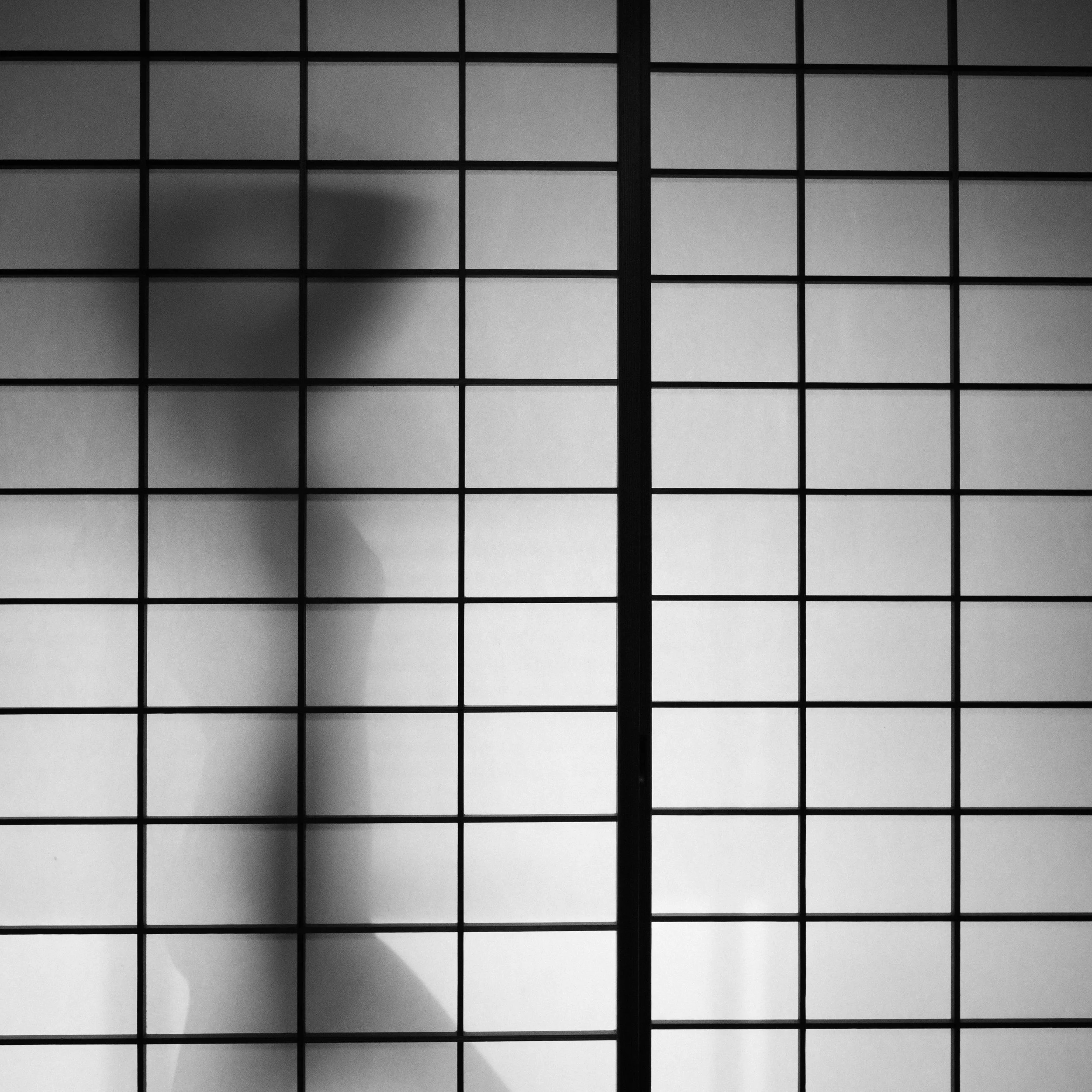 DSC_8178.jpeg