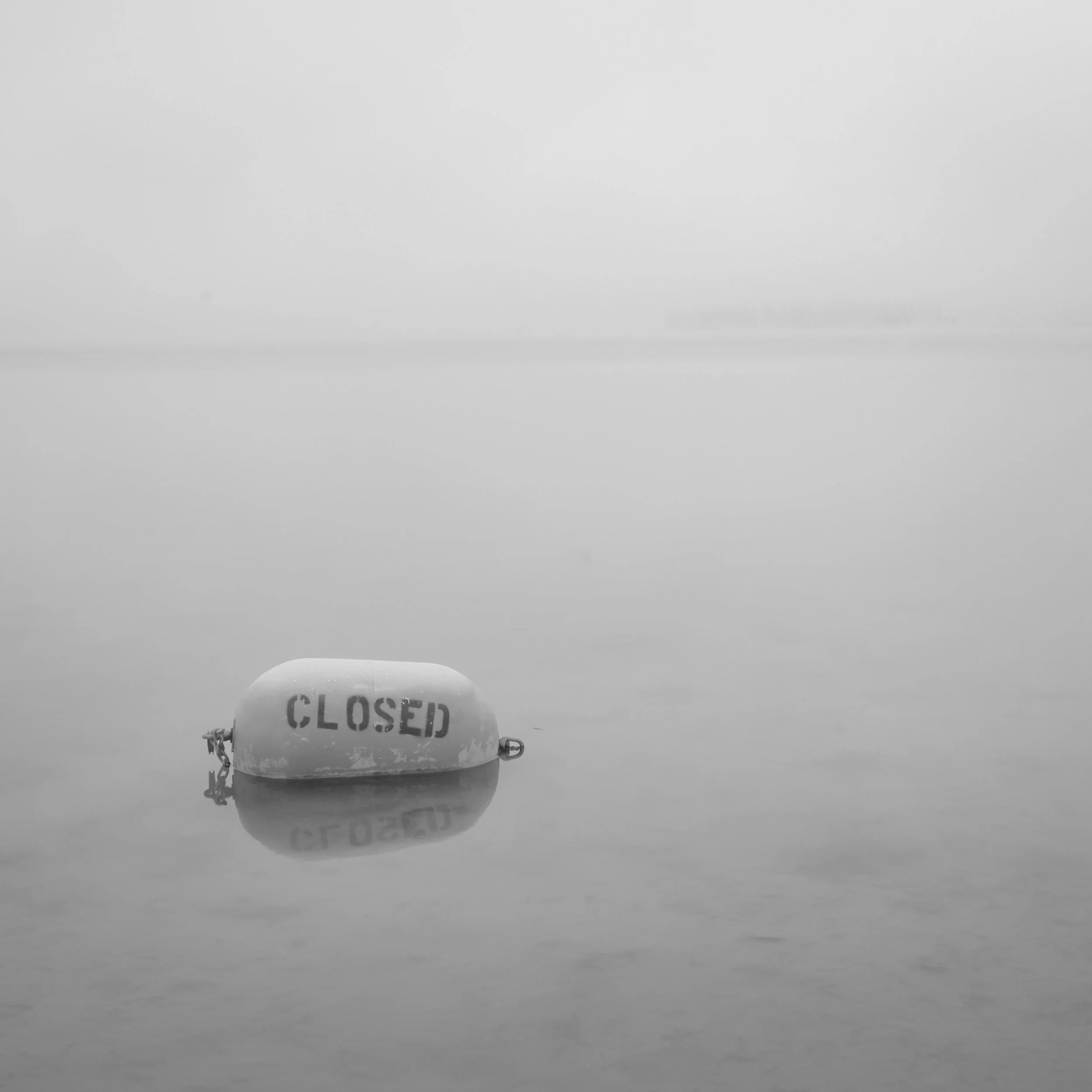 DSCF2570.jpg