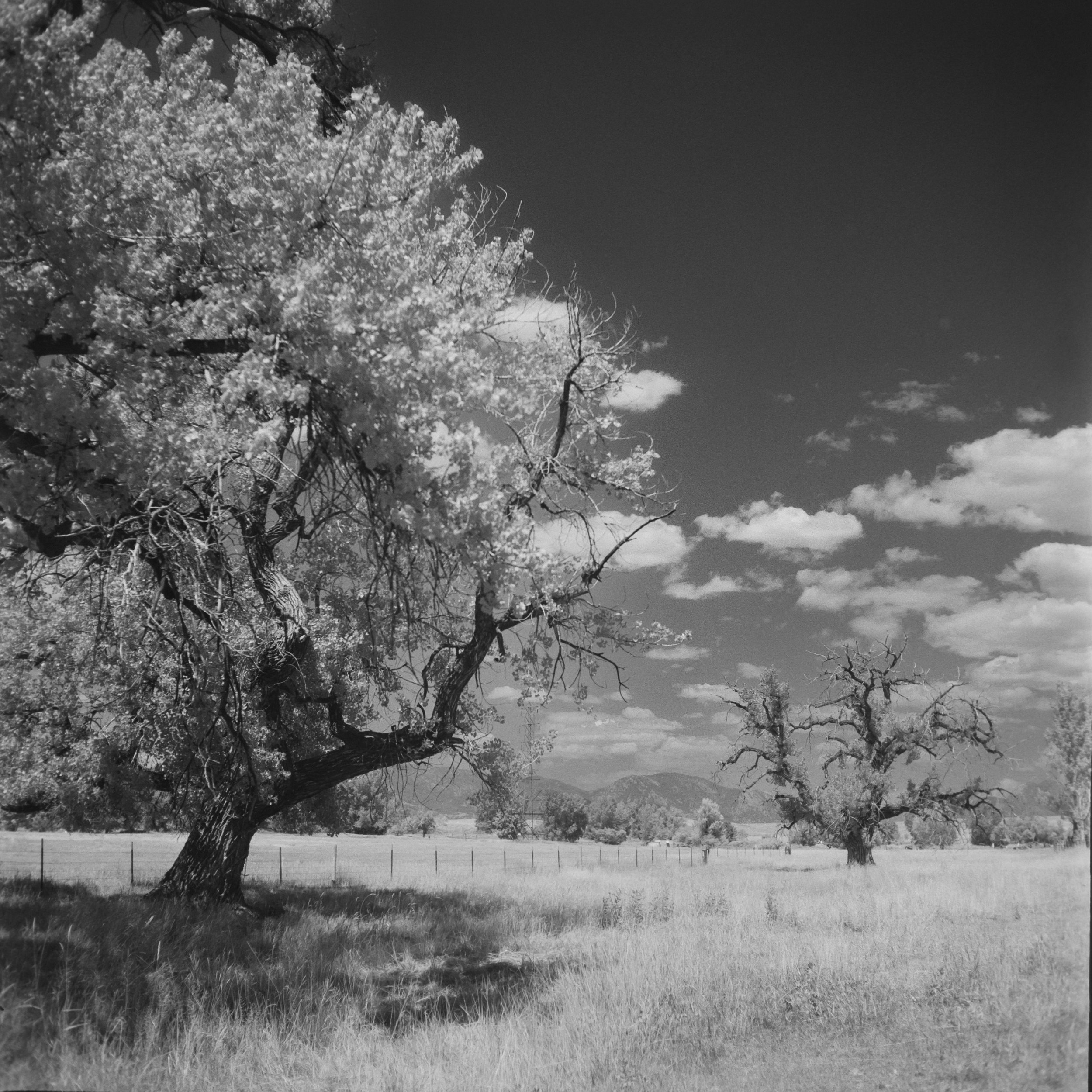 DSC_5363.jpeg