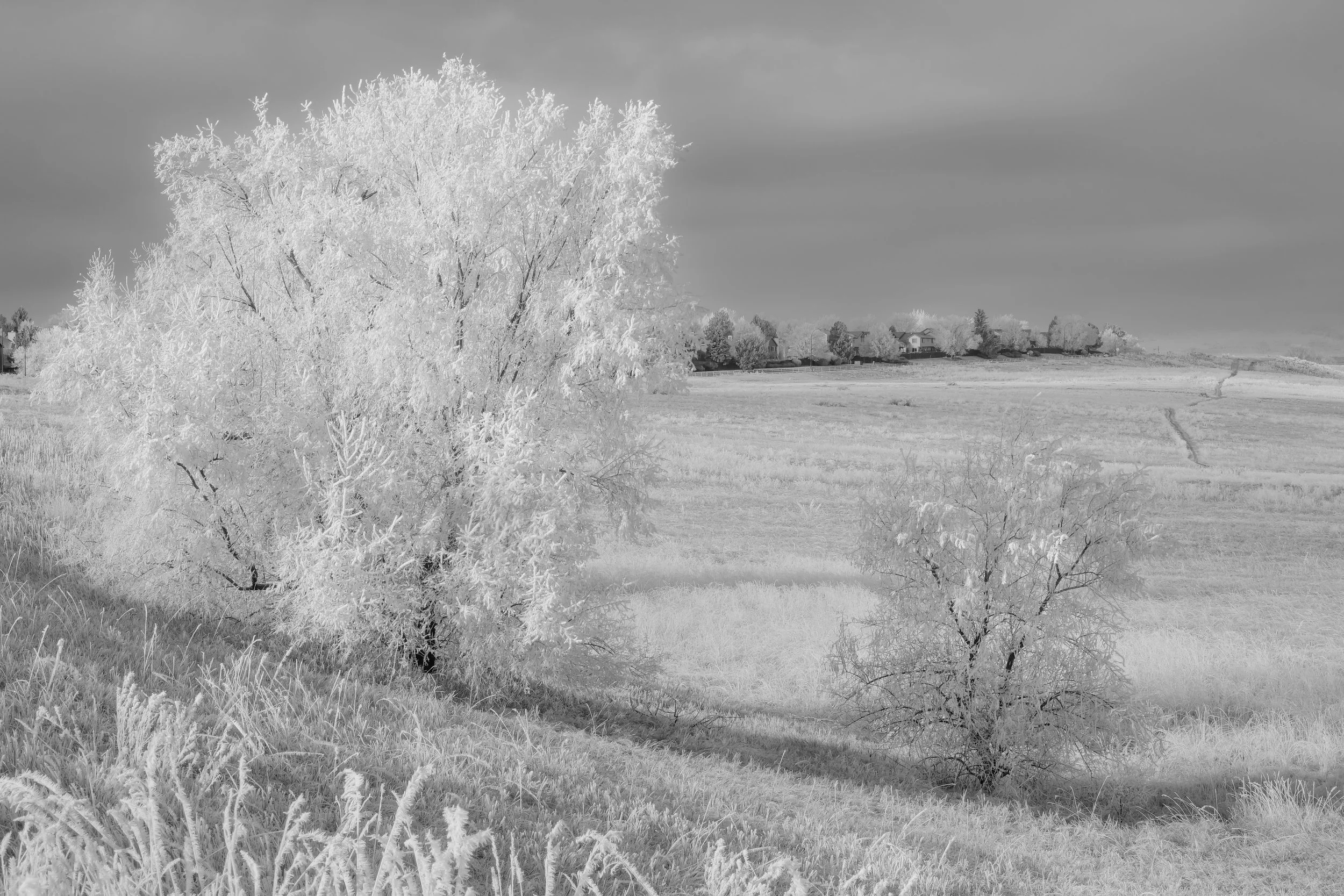 DSCF2614.jpg