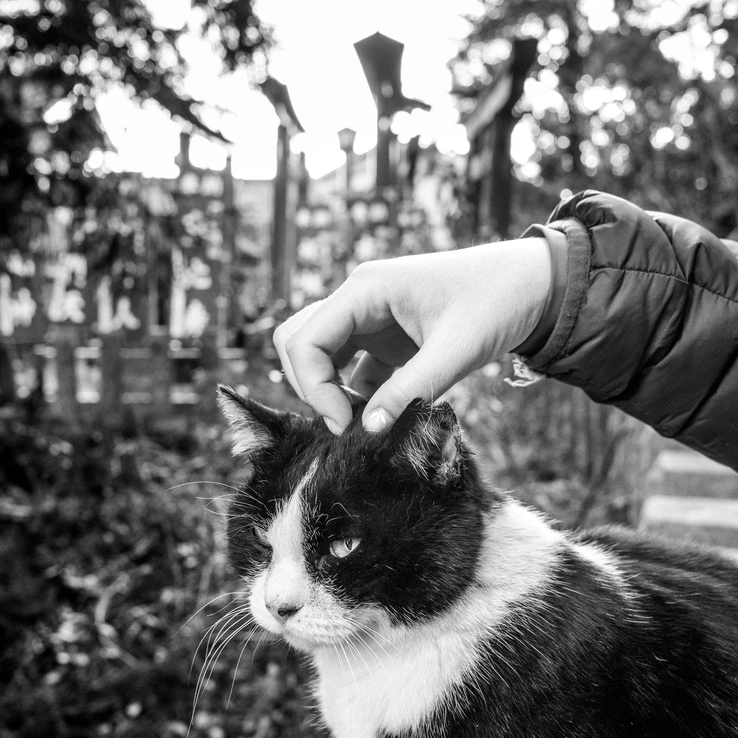 DSC_8802.jpeg