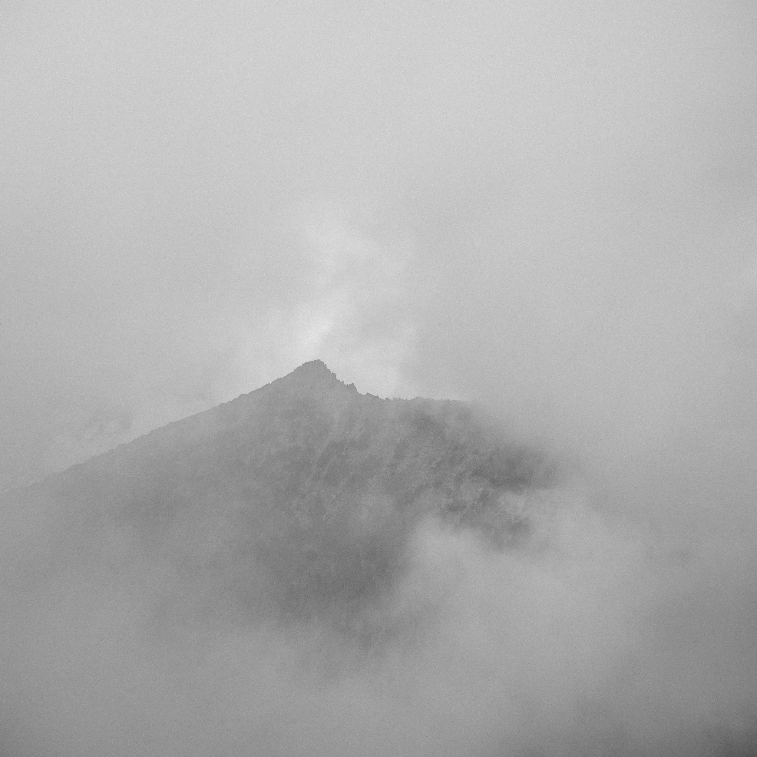 DSC_6018.jpg