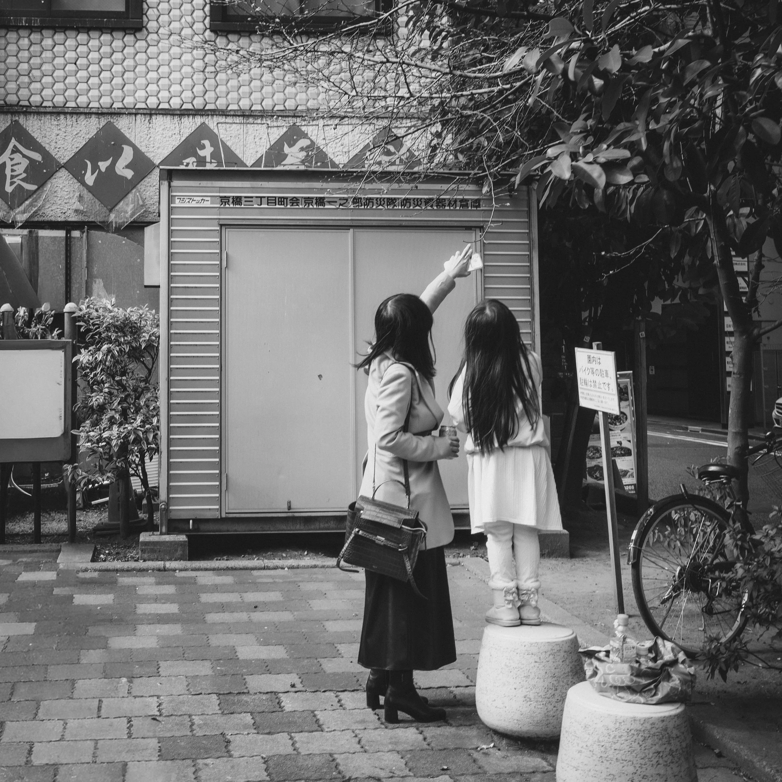 DSC_9259.jpeg