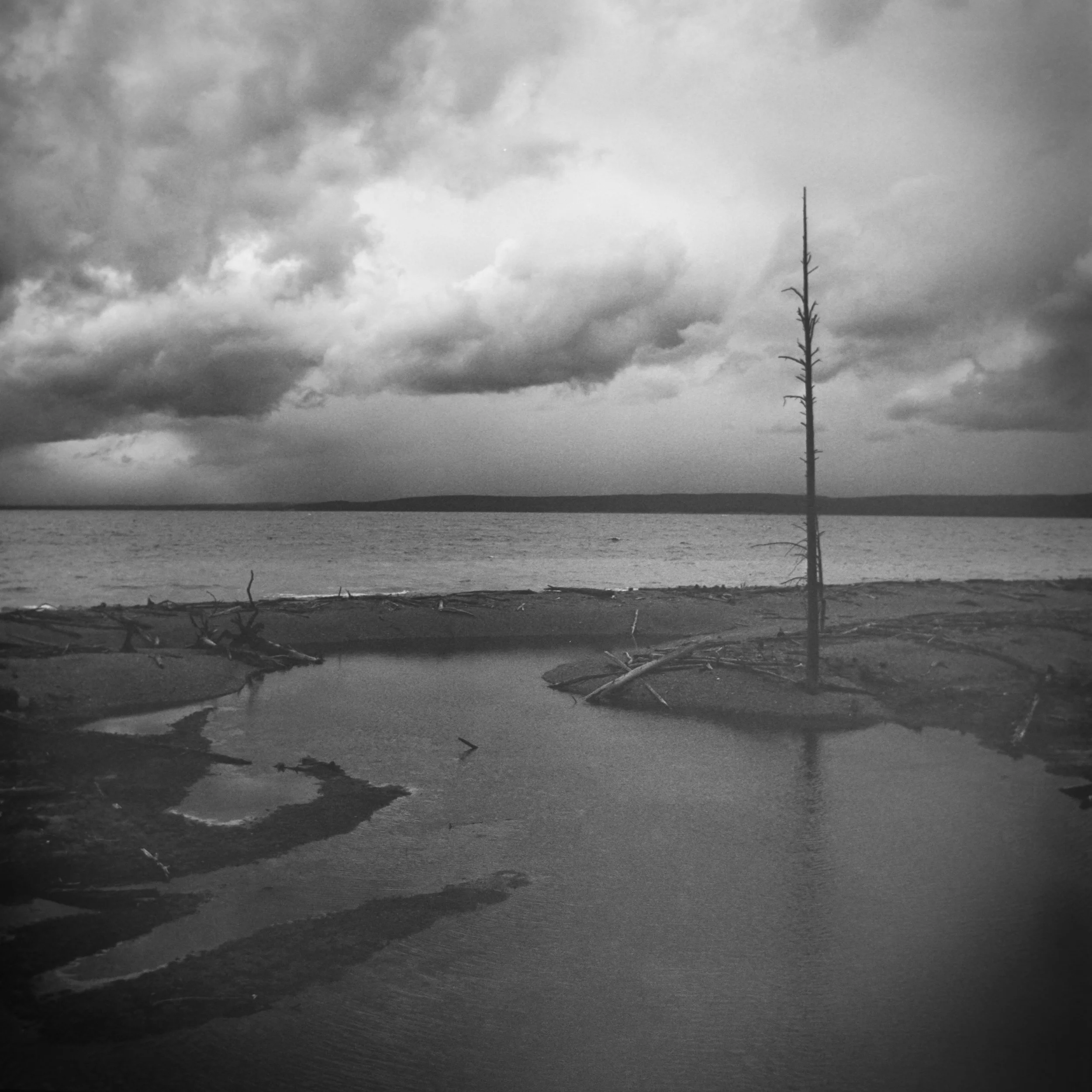 DSC_4984.jpg