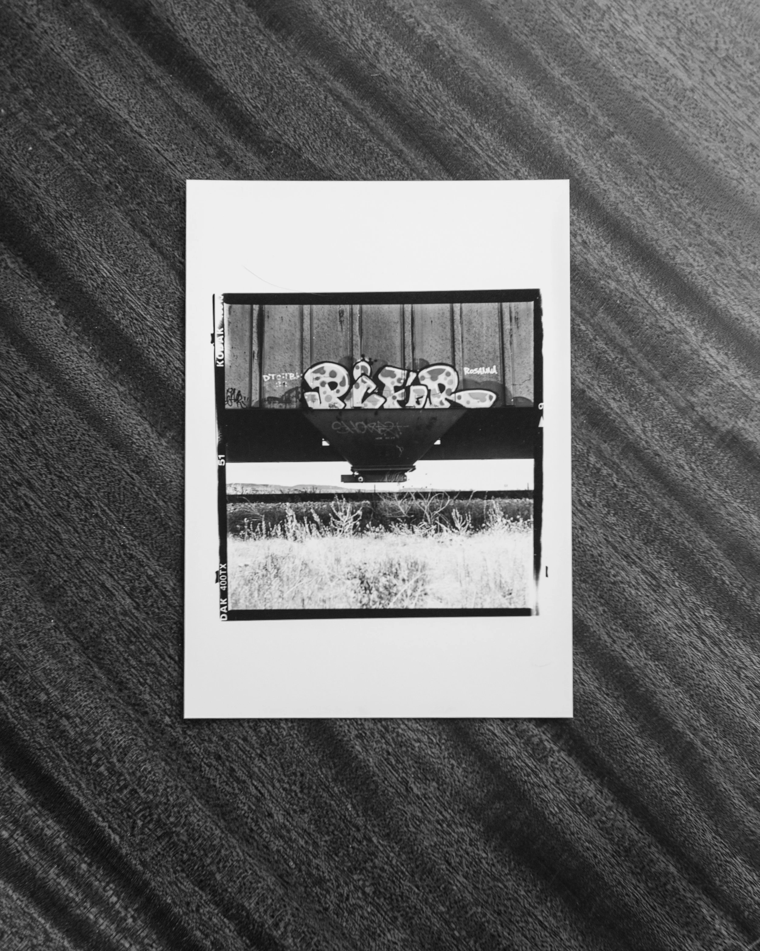 5x5 - kentmere vc [f16 @ 1.5"] - Tri X 400