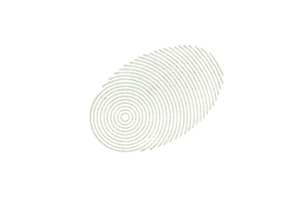 Digital Ecology &amp; Ethics