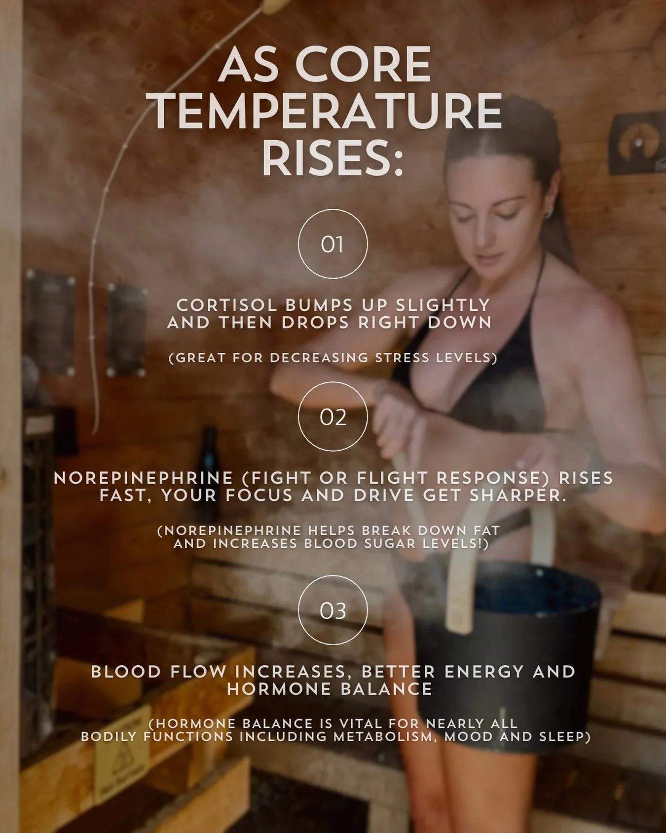 Ever wondered what&rsquo;s happening to your body in the sauna?
This is more than relaxation. This is biology at work. 🌡️