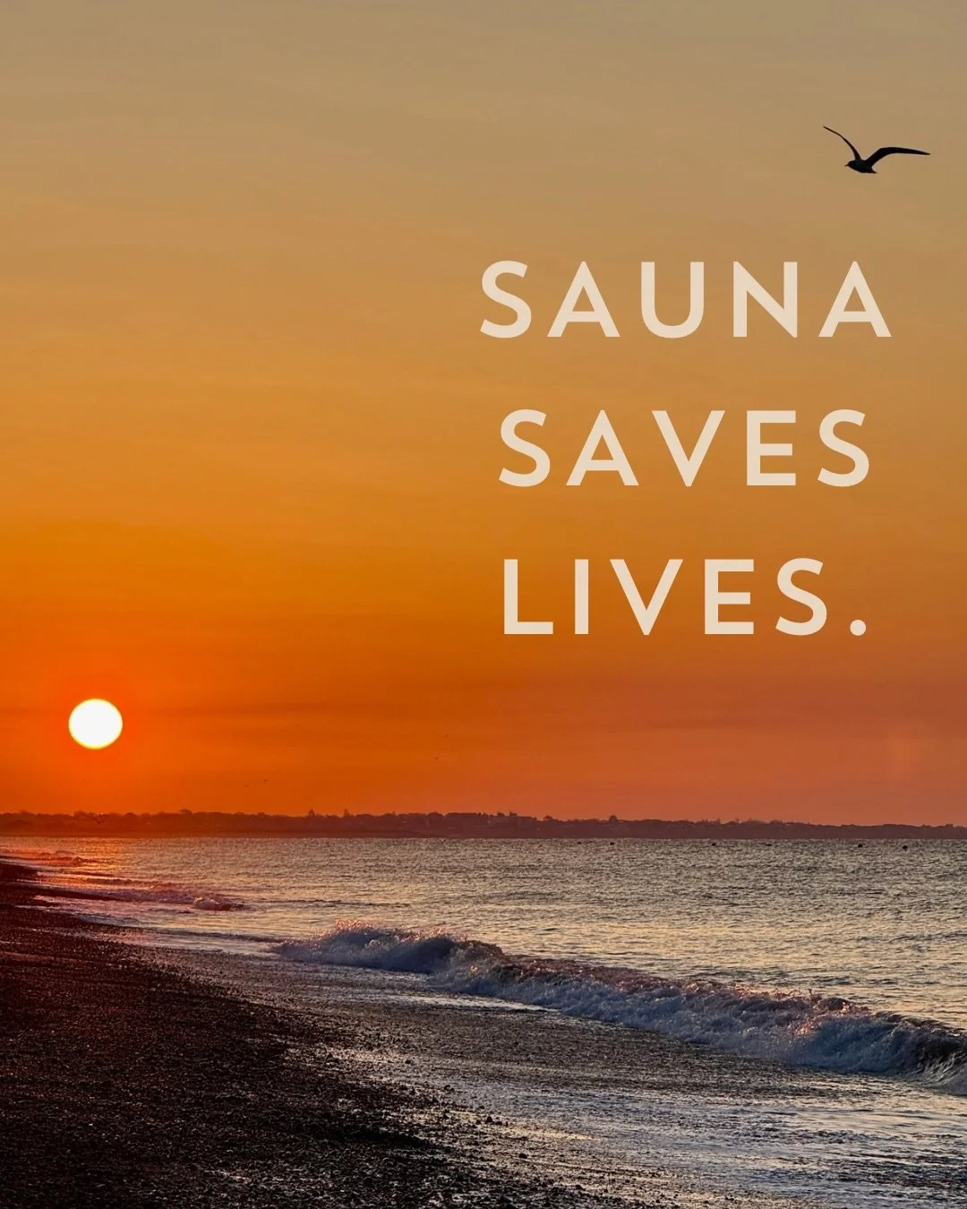 A sauna routine is an investment into how you feel, recover, and show up everyday!  Built for the moments the feel good now and the years ahead 🌞