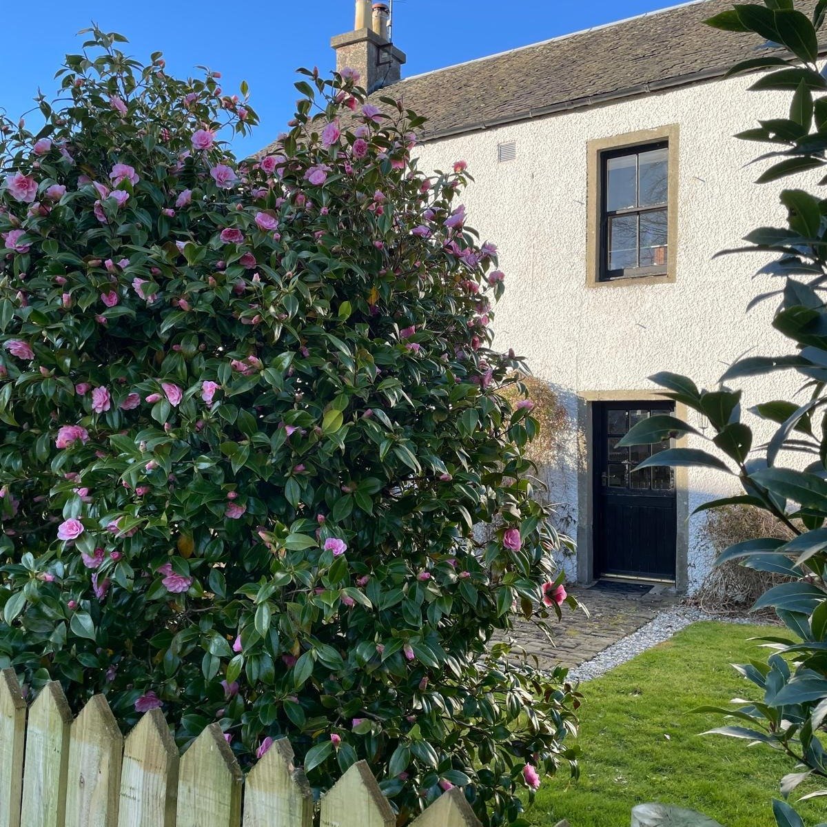 Can you believe this weather? 😍😍😍

Lots in bloom here on the farm, and that sun is EVERYTHING. 🌞 

Want to join us? We've still got some availability in April and we'd love to share our little slice of paradise (link in bio).

#springflowers #spr