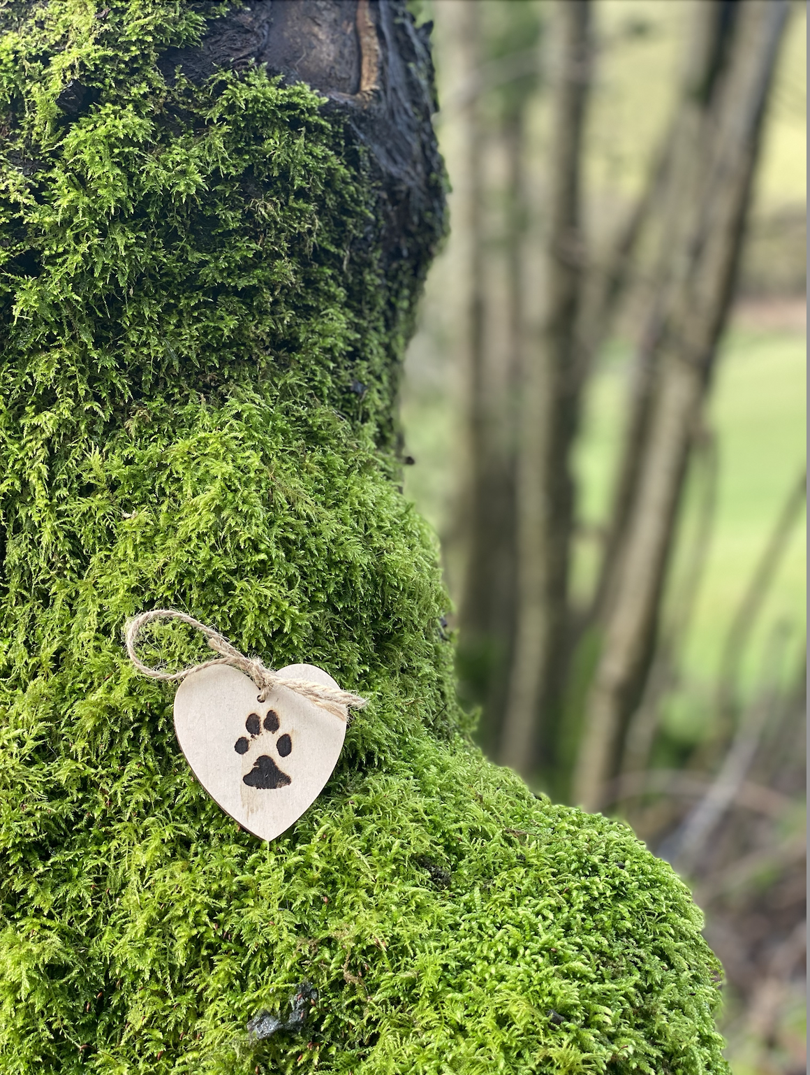 Screenshot 2026-02-03 at 14.08.51.png