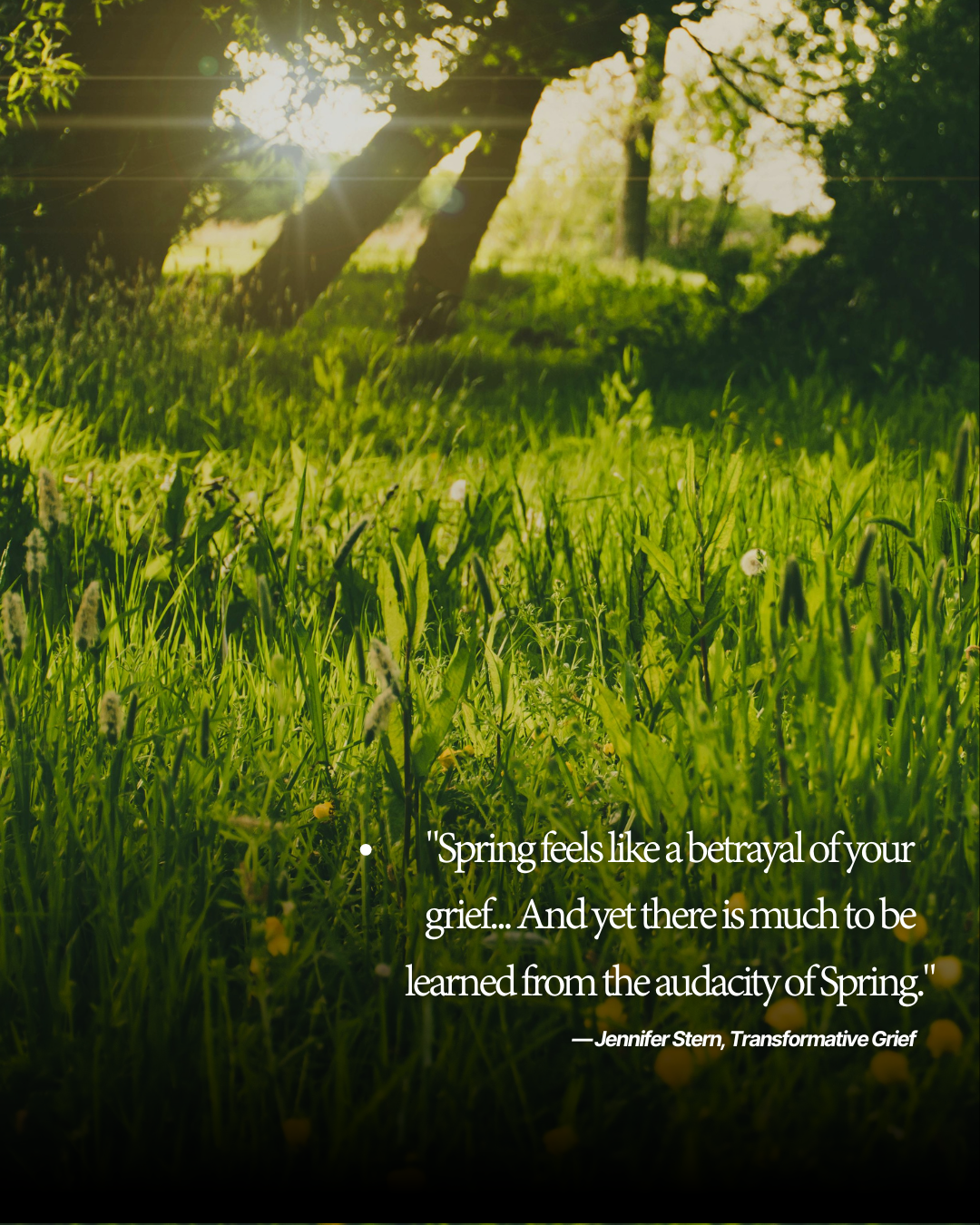 Why Choose Individual Pet Cremation,