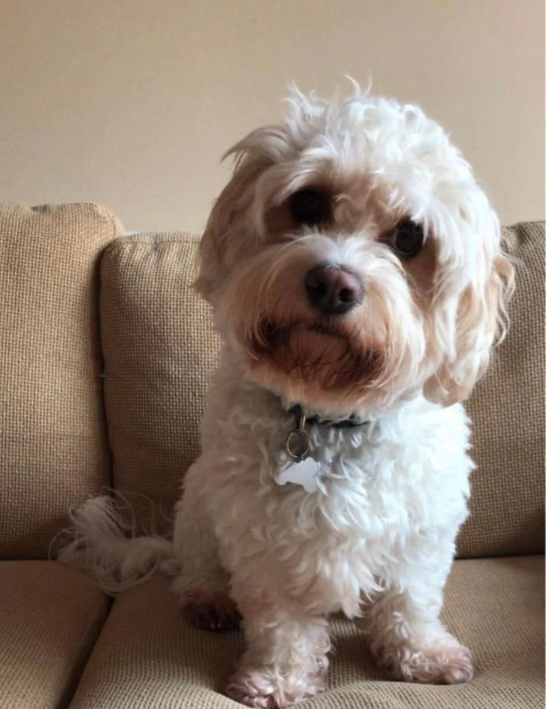 There was no time for a proper goodbye, you left too soon. My favourite hello and hardest goodbye. Love you always my little shadow. Xx