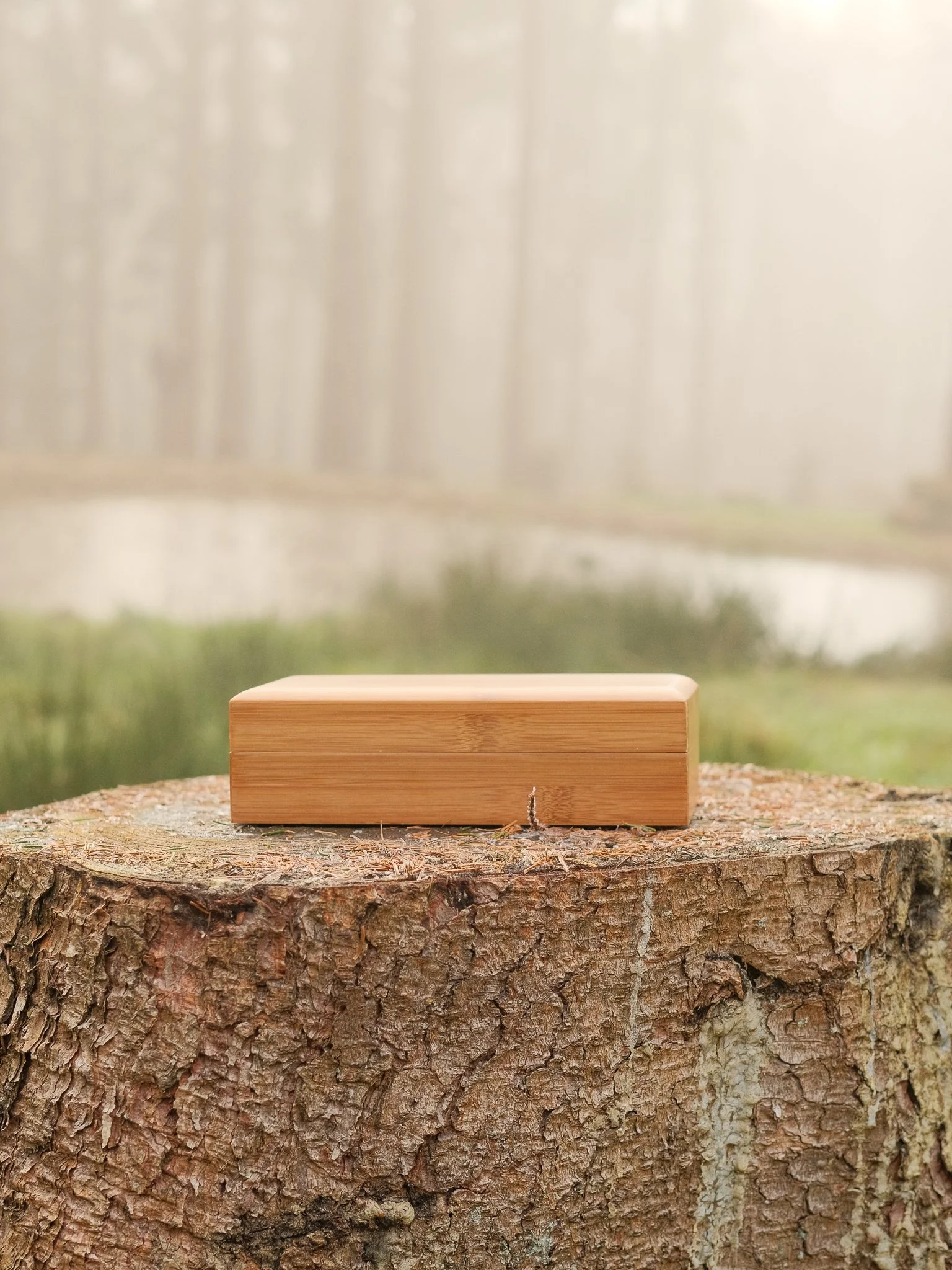 A wooden block placed on a tree stump outdoors with a blurred forest background. Pet memorial products in Wales.