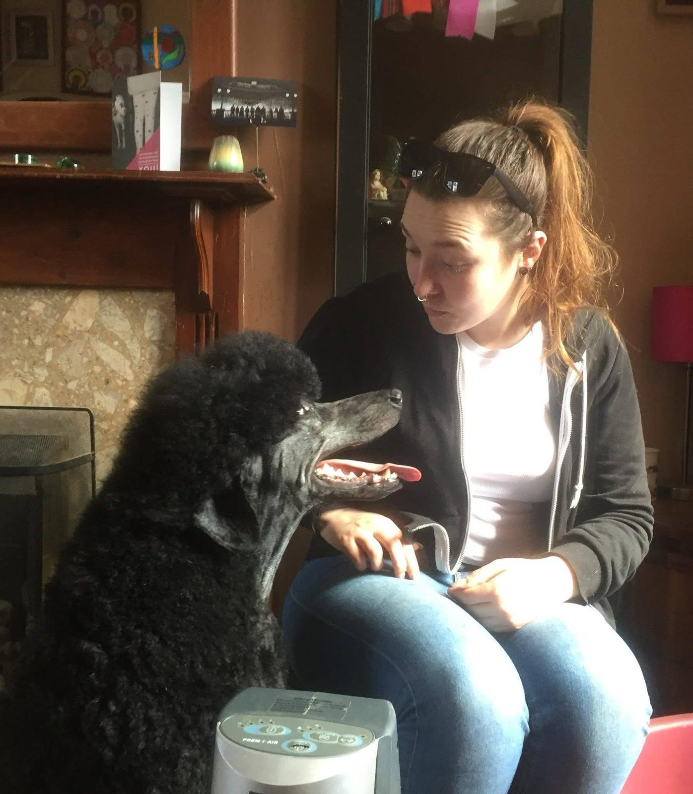 Rest well my beautiful boy, they’ll never be another like you. Kisses on your soft muzzle. Love you Monroe, MonPoo you very special and unique PooDal. Sarah, Hope, Jake, Lily, Jacques, Dylan & Skylar and the dogs Loki, Rosalee, Doris & Martha xxx