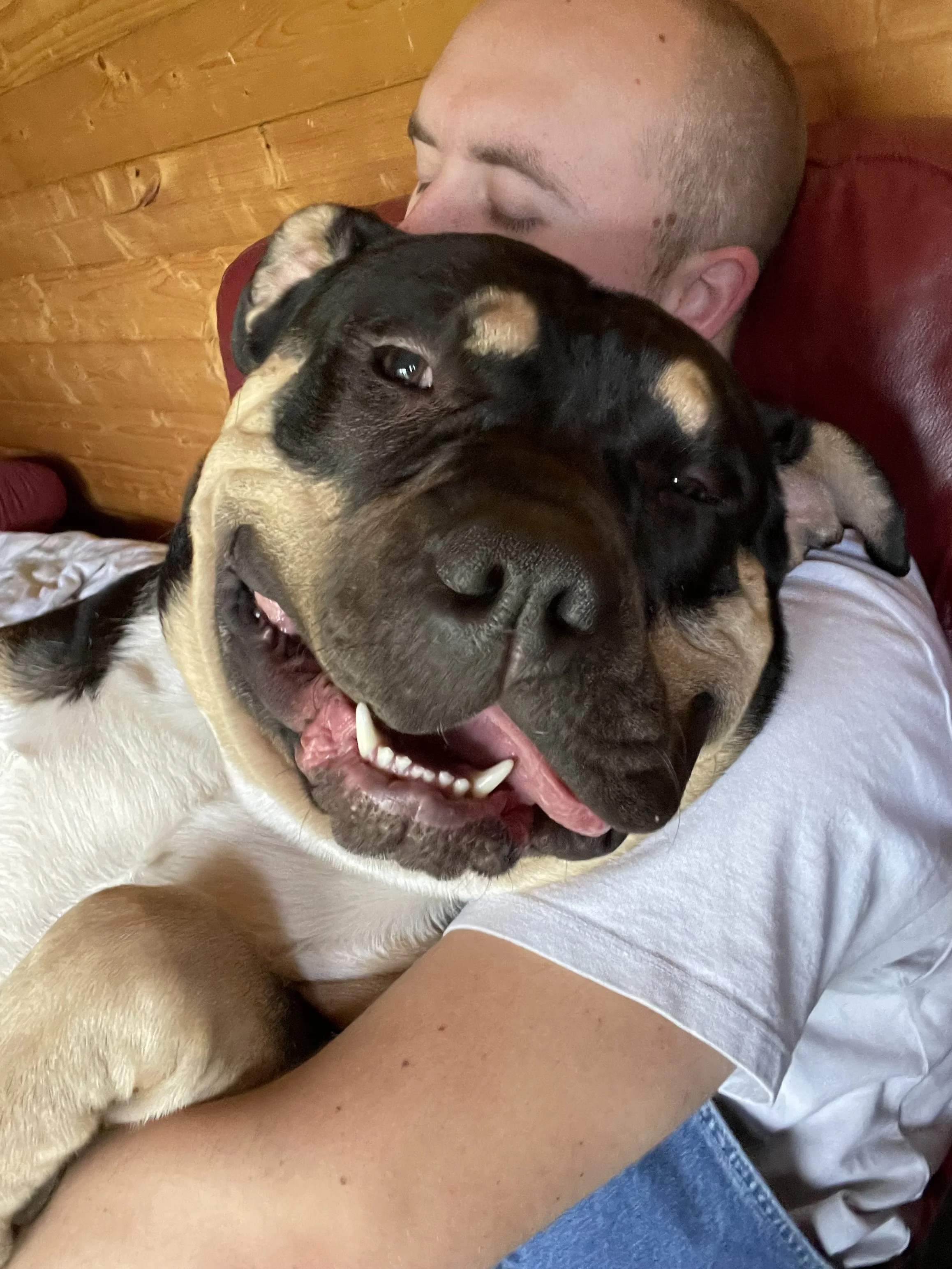 It’s so quiet, and too many scraps of food leftover, without you here now Big Man. I’m just glad you get to sleep as much as you want now. We love you, and will always carry you with us x - Rocco