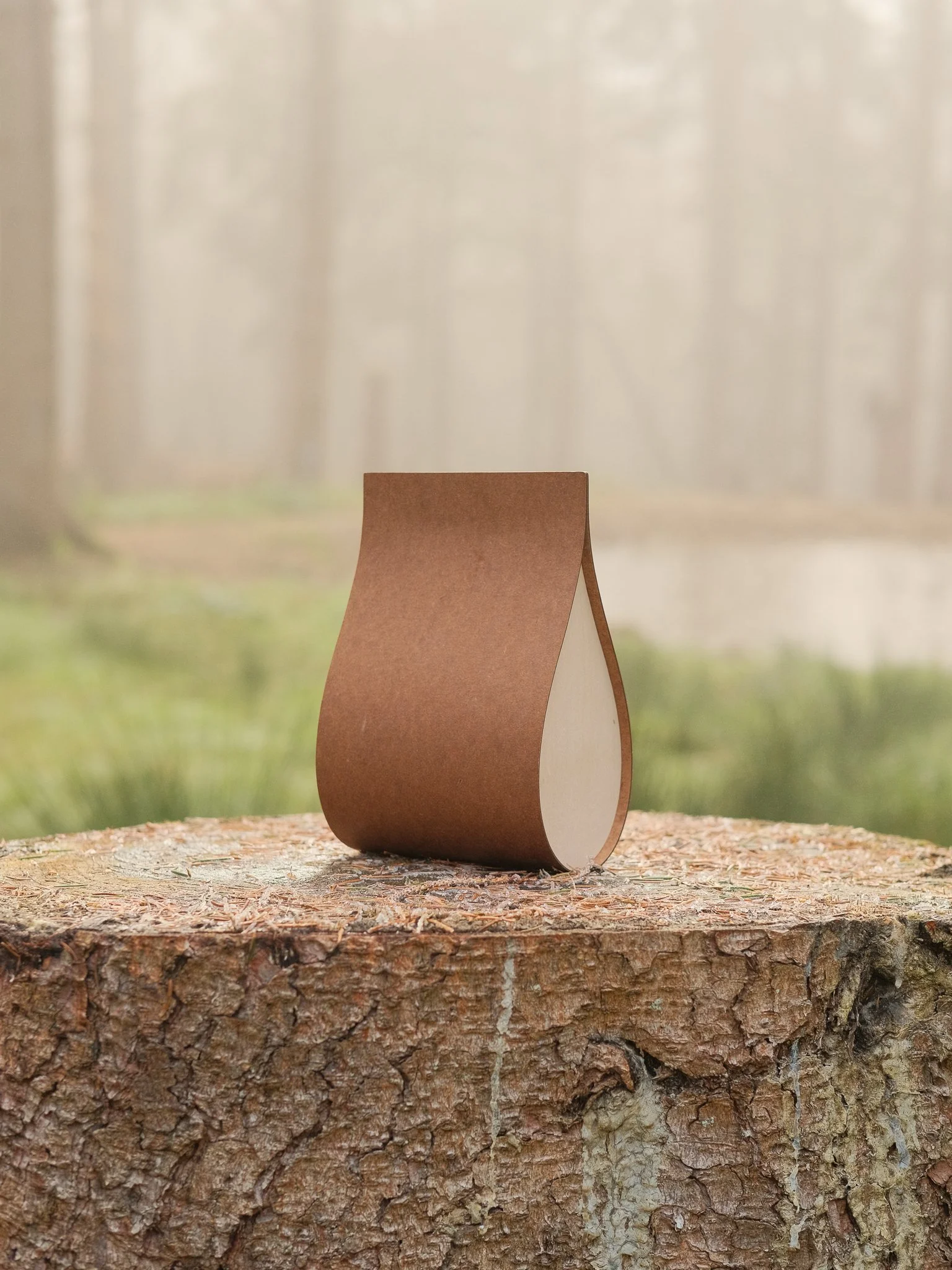 A small, modern, leaf-shaped wooden sculpture with a two-tone finish, sitting on a rough tree stump outdoors, with a blurred background of trees and greenery. Pet memorial products in Wales.