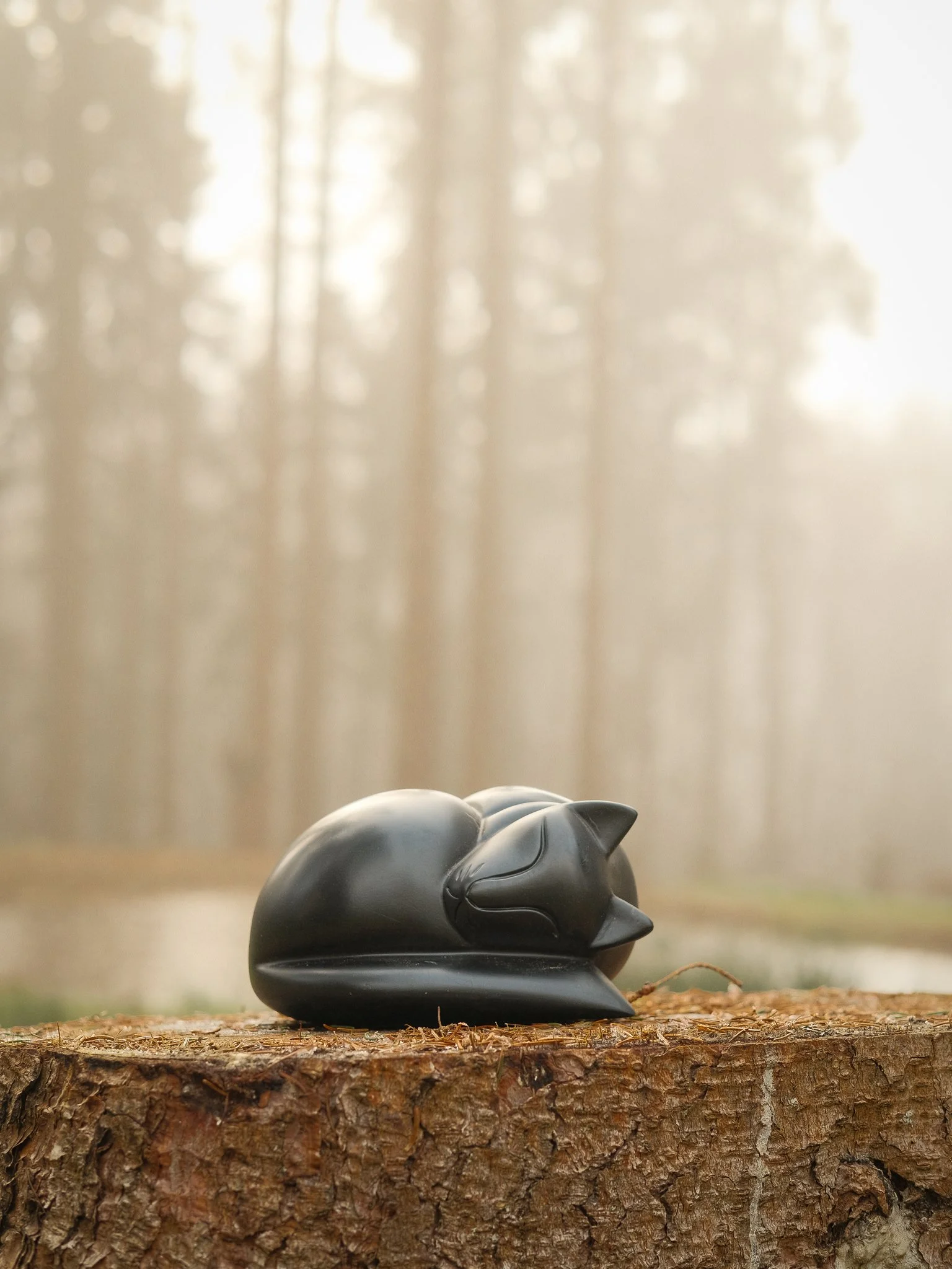 A black, ceramic sleeping cat figurine resting on a tree stump in a forest with mist and tall trees in the background. Cat cremation in south Wales