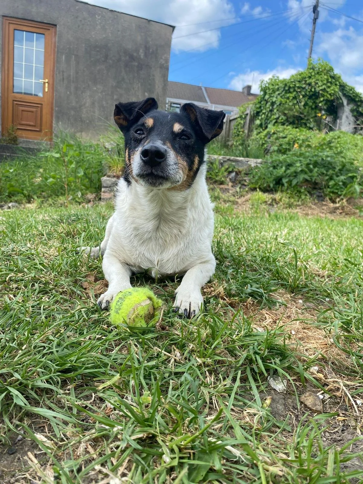 Not everyone’s best friend but definitely mine. You mended my heart then broke it but you were still my best boy