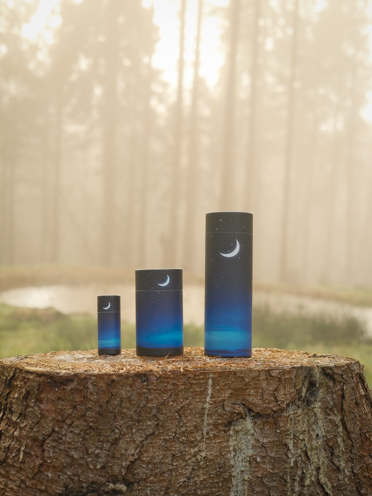 Three cylindrical containers of different sizes with nighttime sky and moon illustrations, placed on a tree stump in a forest setting. Scatter tubes for use after a pet cremation at the pet crematorium in Llandeilo