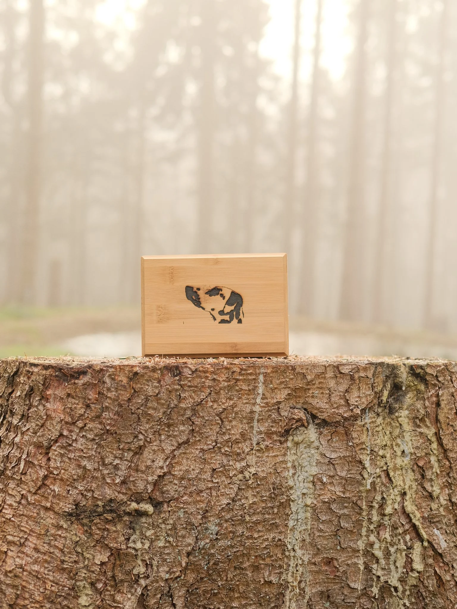 A casket for use after pet cremation. A small wooden block with a dog silhouette carved on it, placed on a tree stump in a foggy forest.