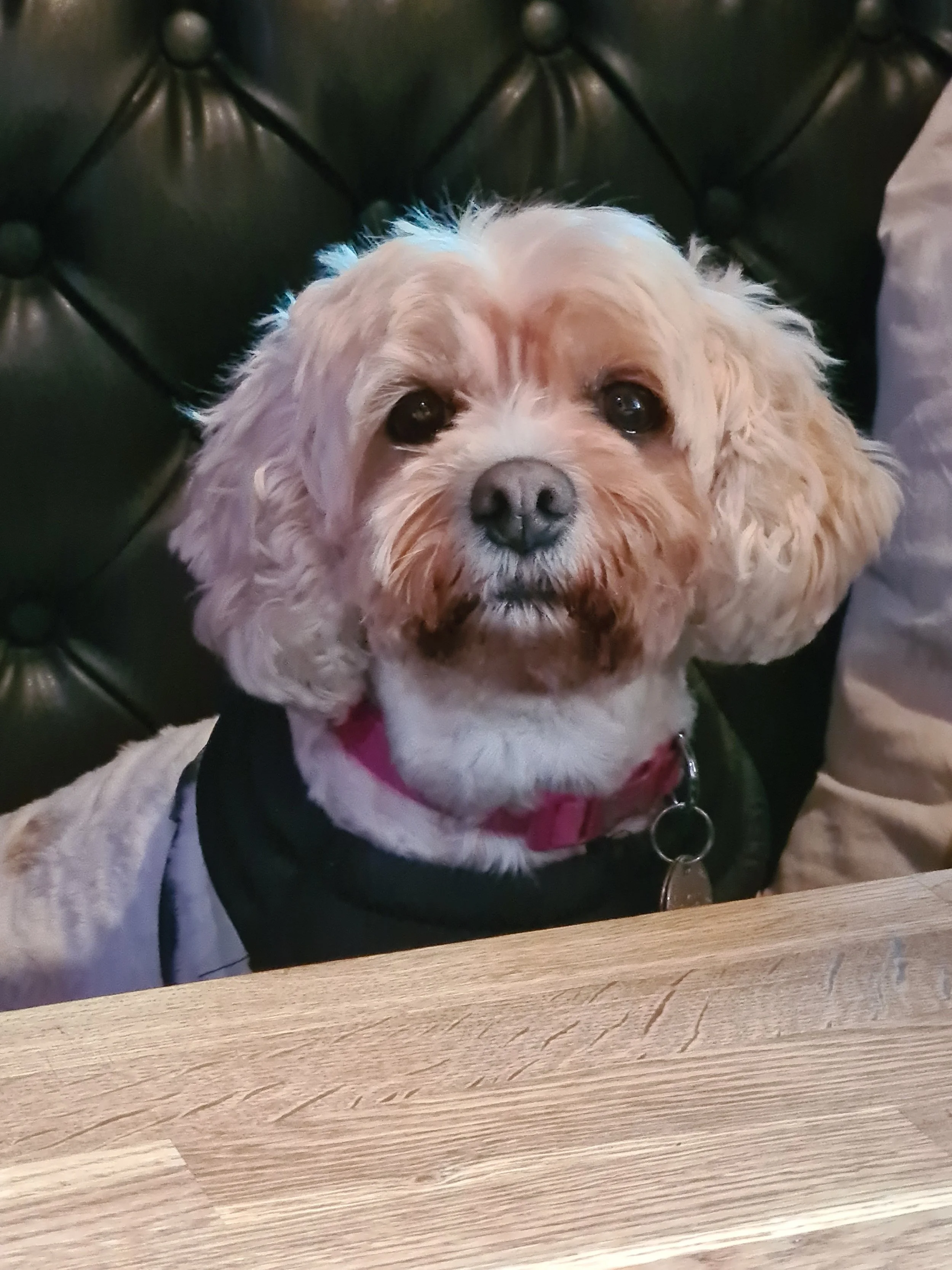 We miss you every day. Will never forget you ❤️ - Betty-Boo