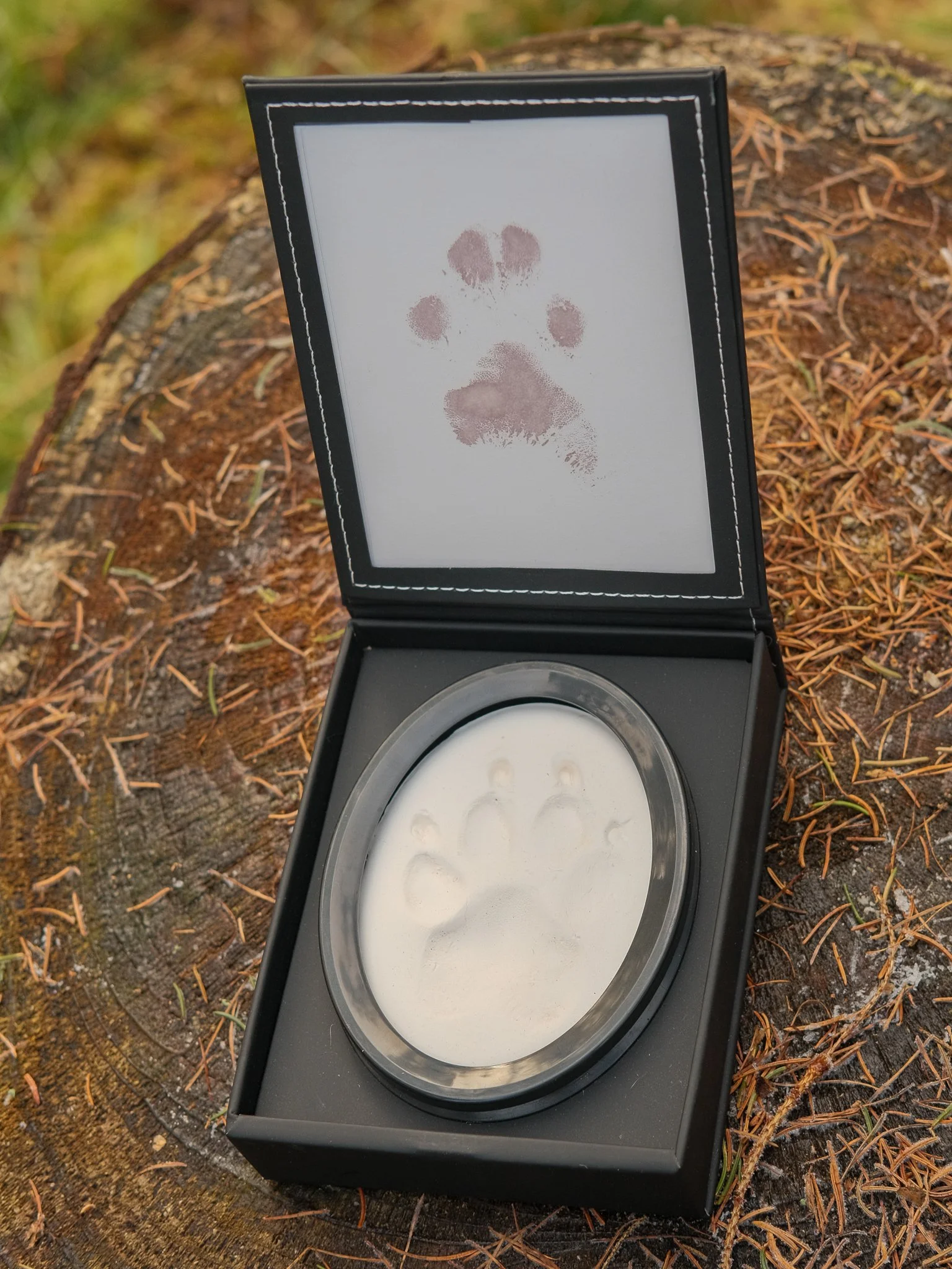 A black box with a clear oval compartment containing a white substance, and a lid with a paw print stamp on the inside, placed on a tree stump outdoors. Inkless paw print pet memorial keepsake from pet crematorium in south Wales