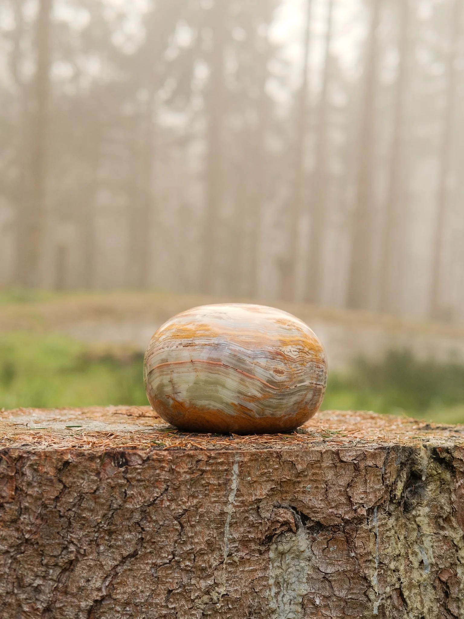 A polished marble stone with orange, green, and brown swirls, sitting on a cut tree trunk in a foggy forest. Pet memorial products in Wales.