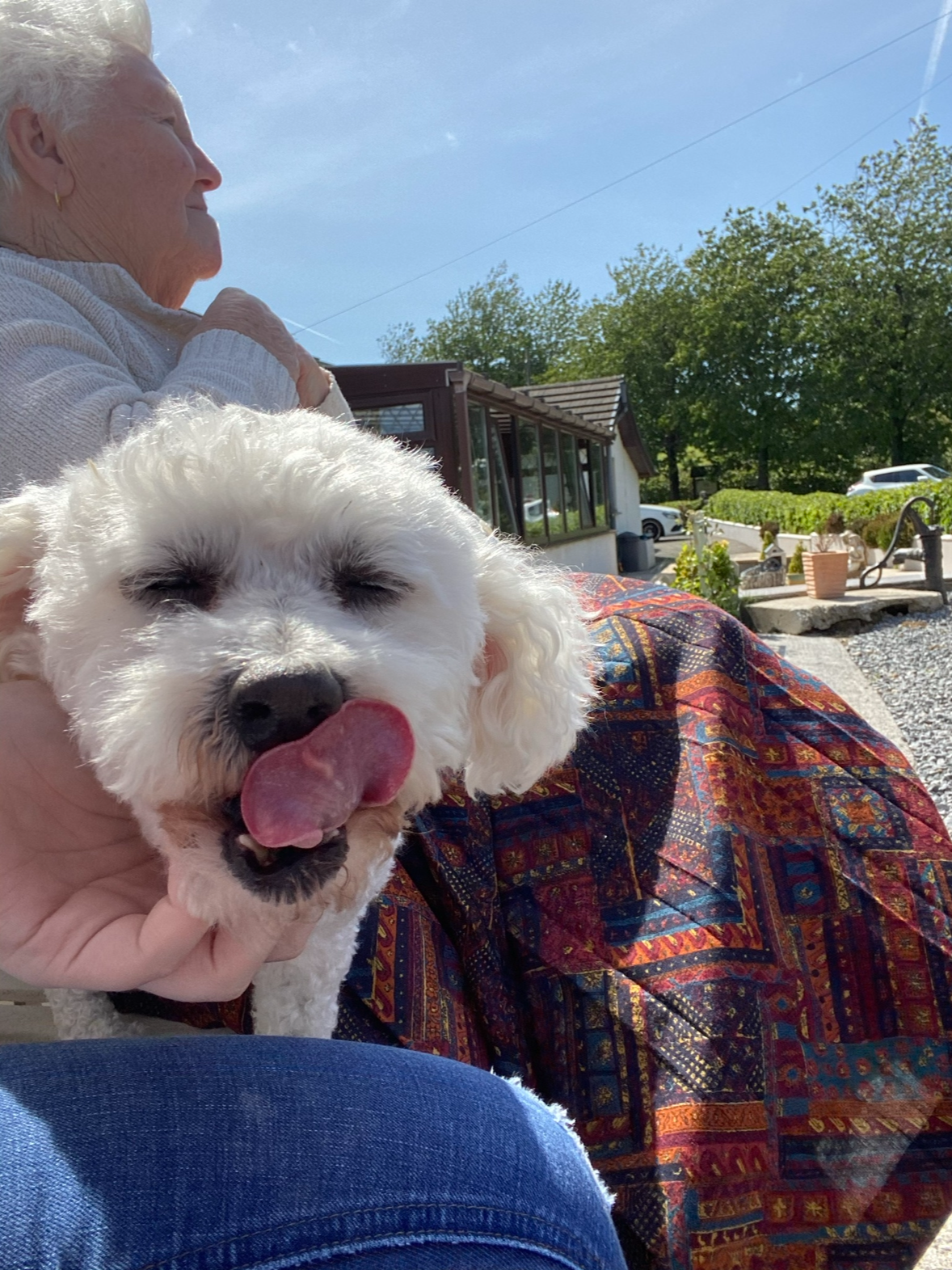 Sleep tight Millie x