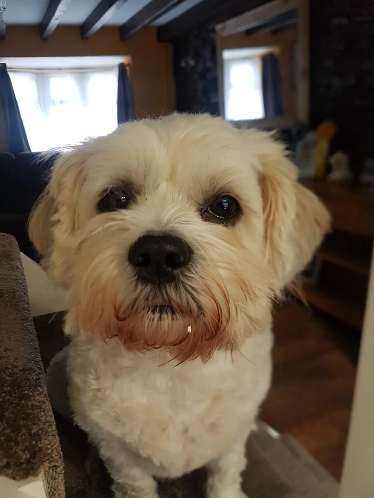 We miss you so much. You're always in our hearts 💕 - Poppy