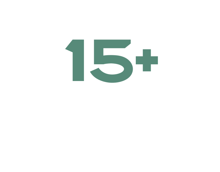 Text on a black background stating, '15+ Professional Brand Assets'.