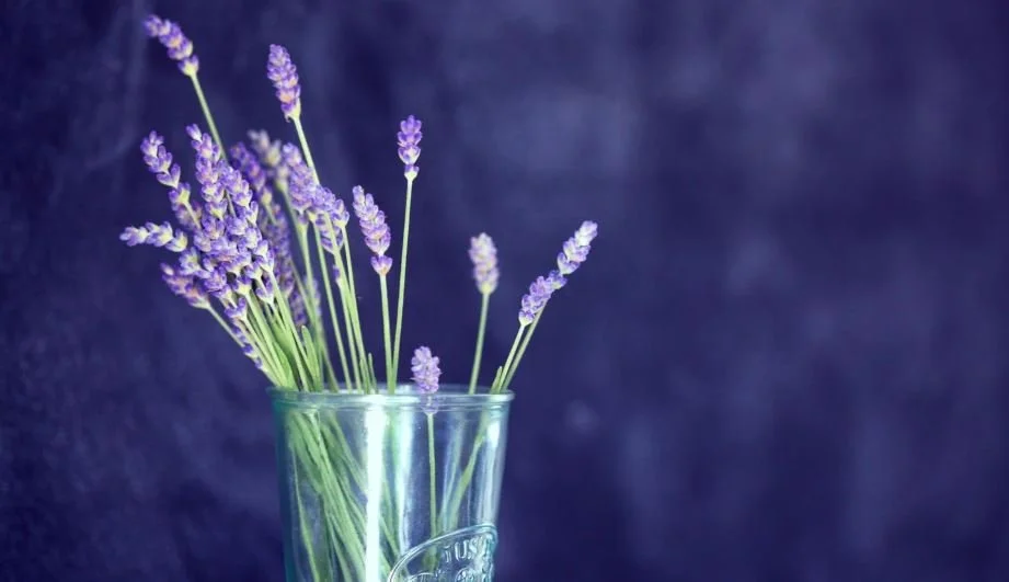 What to Expect During Your First Psychiatric Evaluation in Seattle?