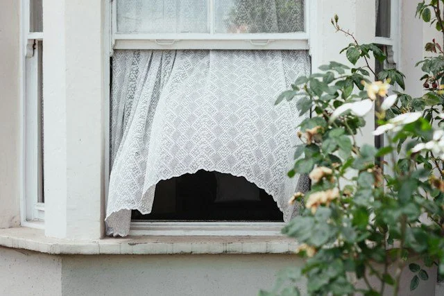 The Window of Tolerance