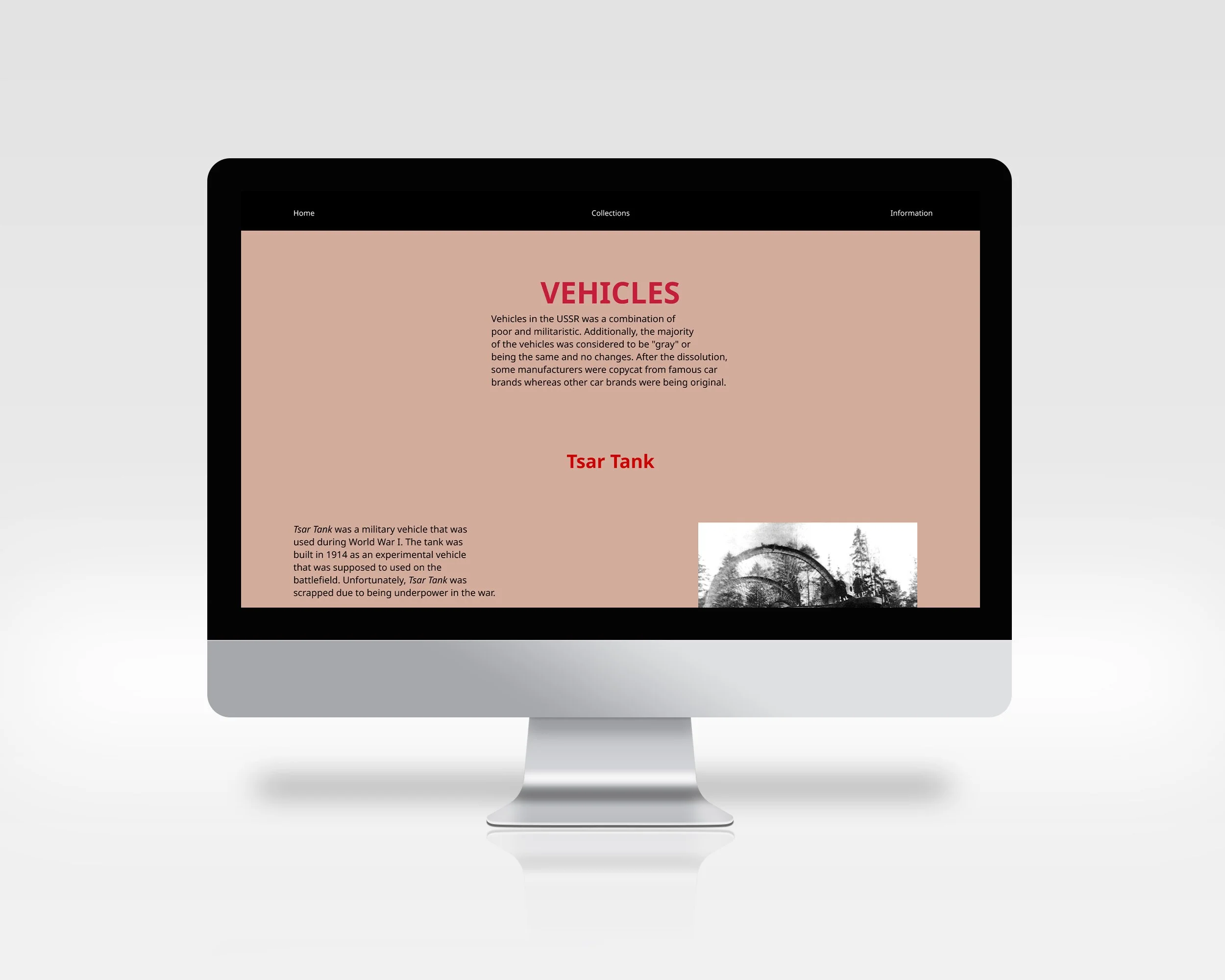 Dizayn Website Mockup 6.jpg