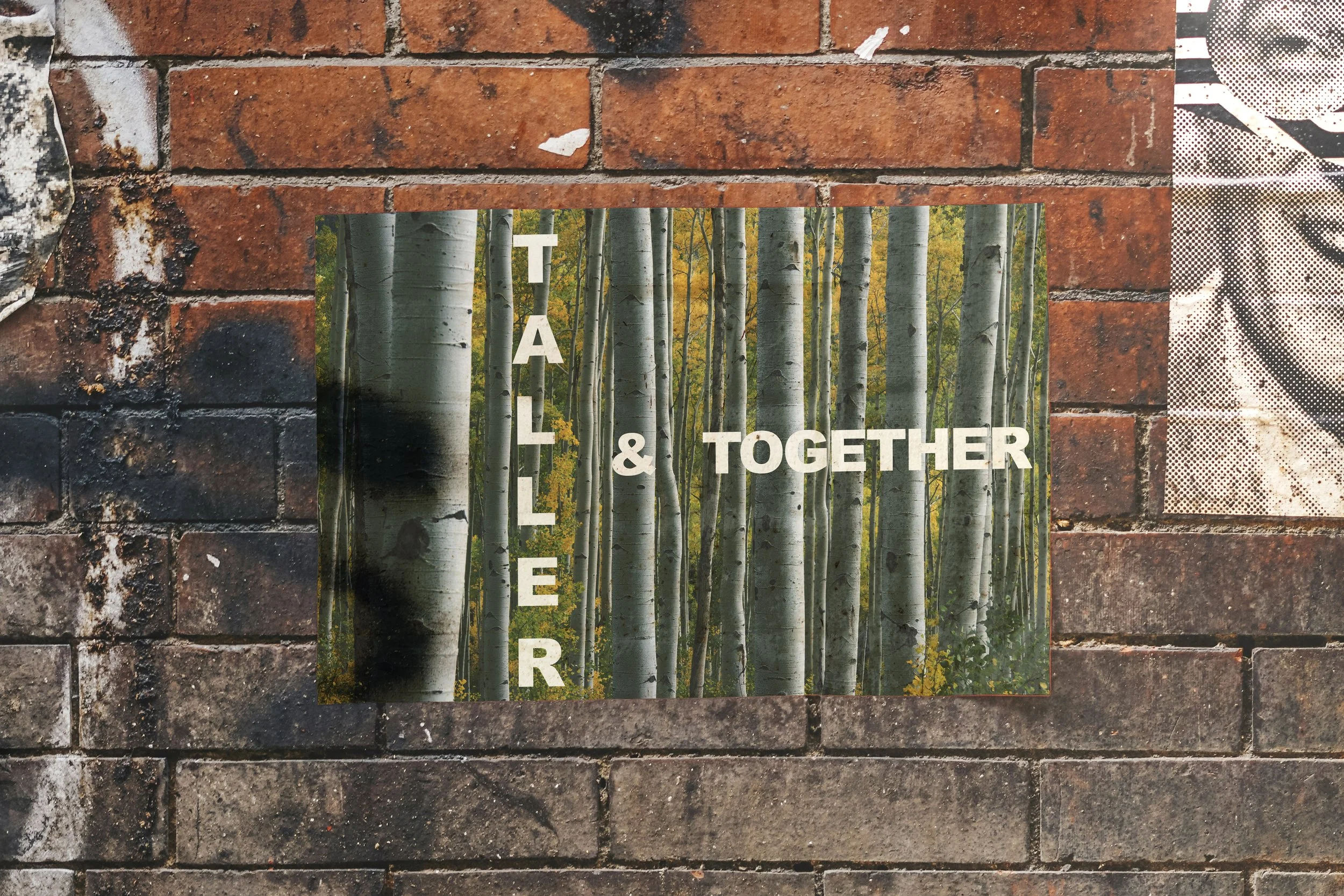 Taller & Together Mockup.jpg