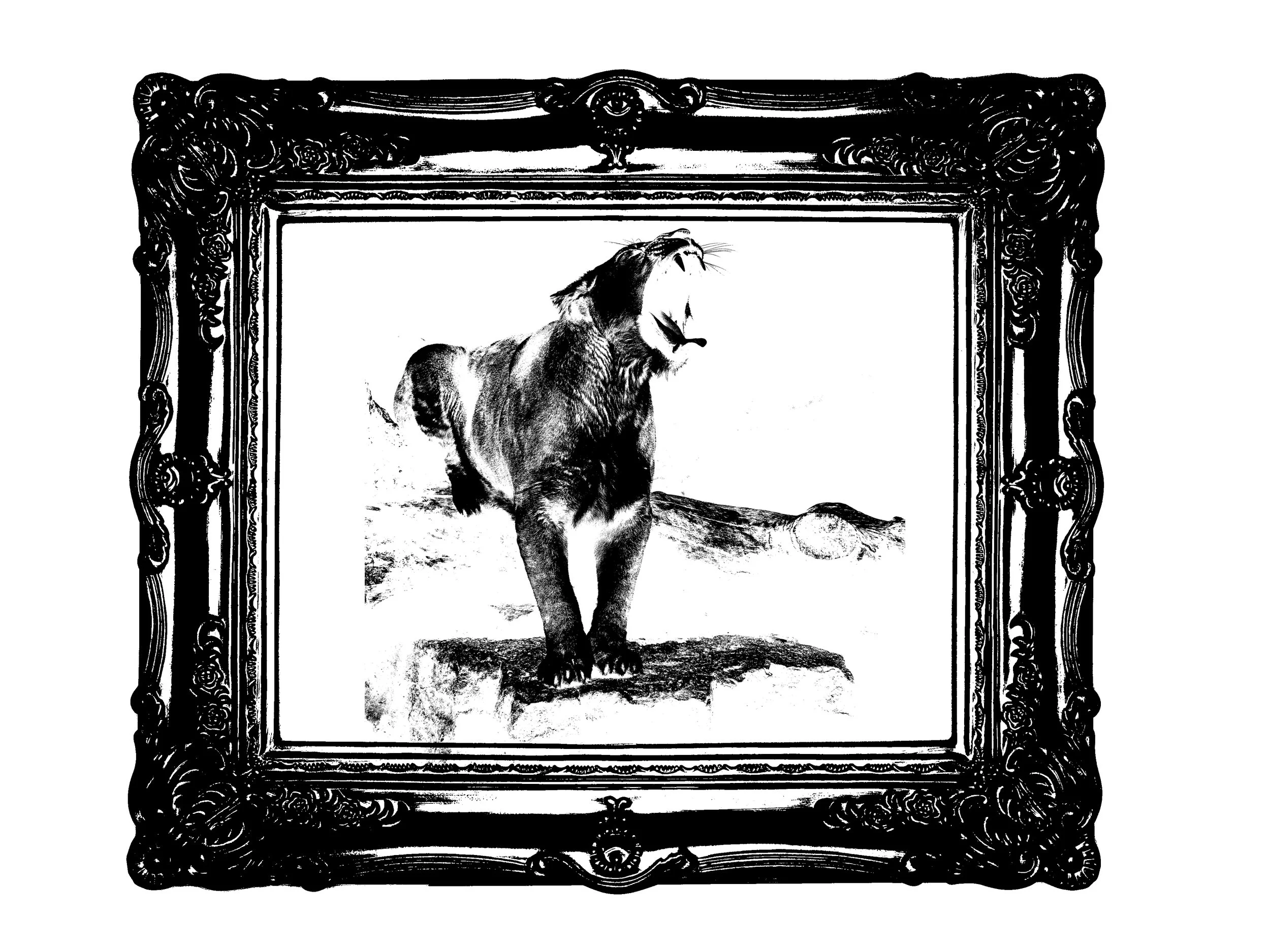 The Frame of a Lioness