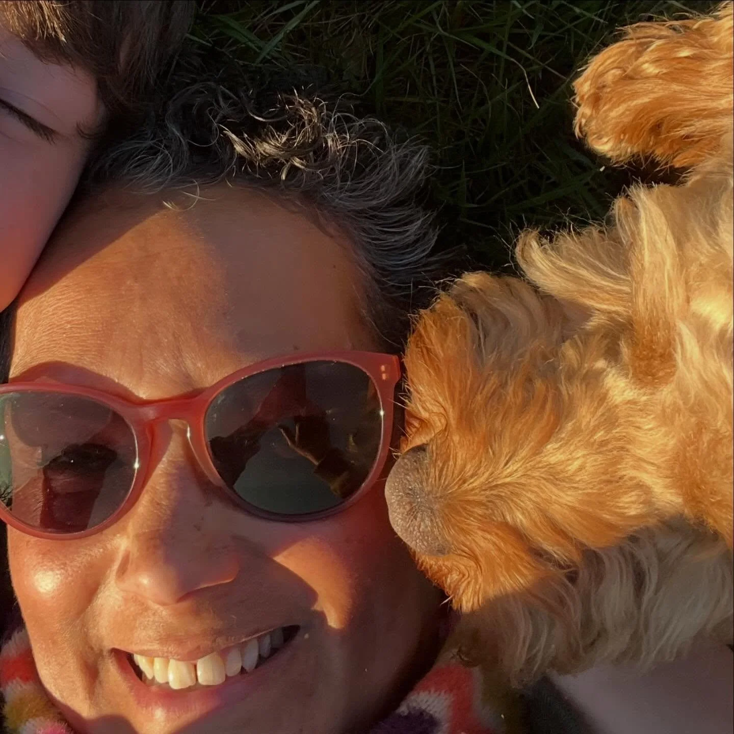 TEACHINGS

If you want to learn about basic self care and the need for light, water, roots and kind words, get a plant.

If you want to learn about unconditional love, joyful living, daily walks and responsibility, get a dog.

If you want to learn ab